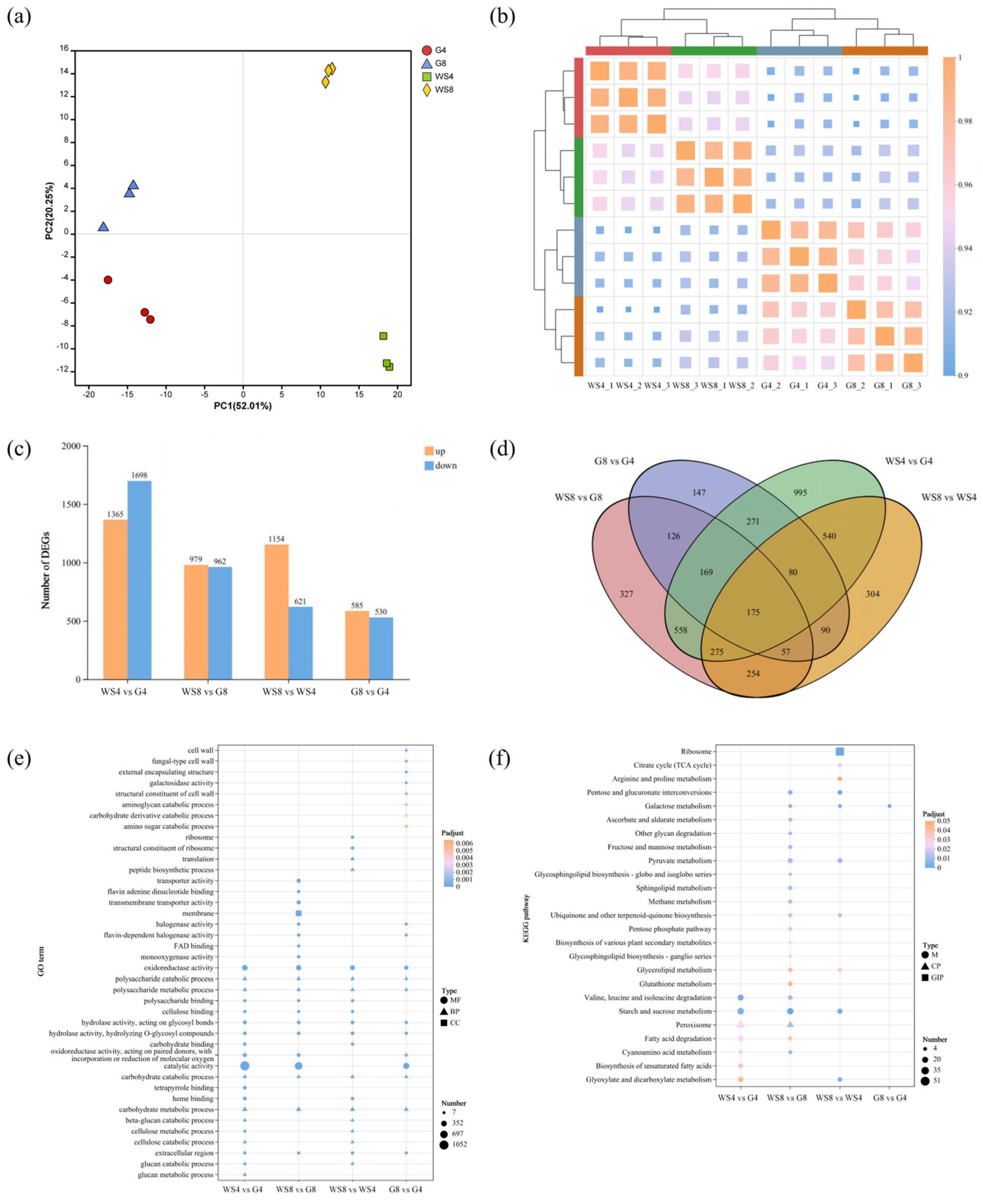 Jof 11 00882 g004 Jof 11 00882 g004