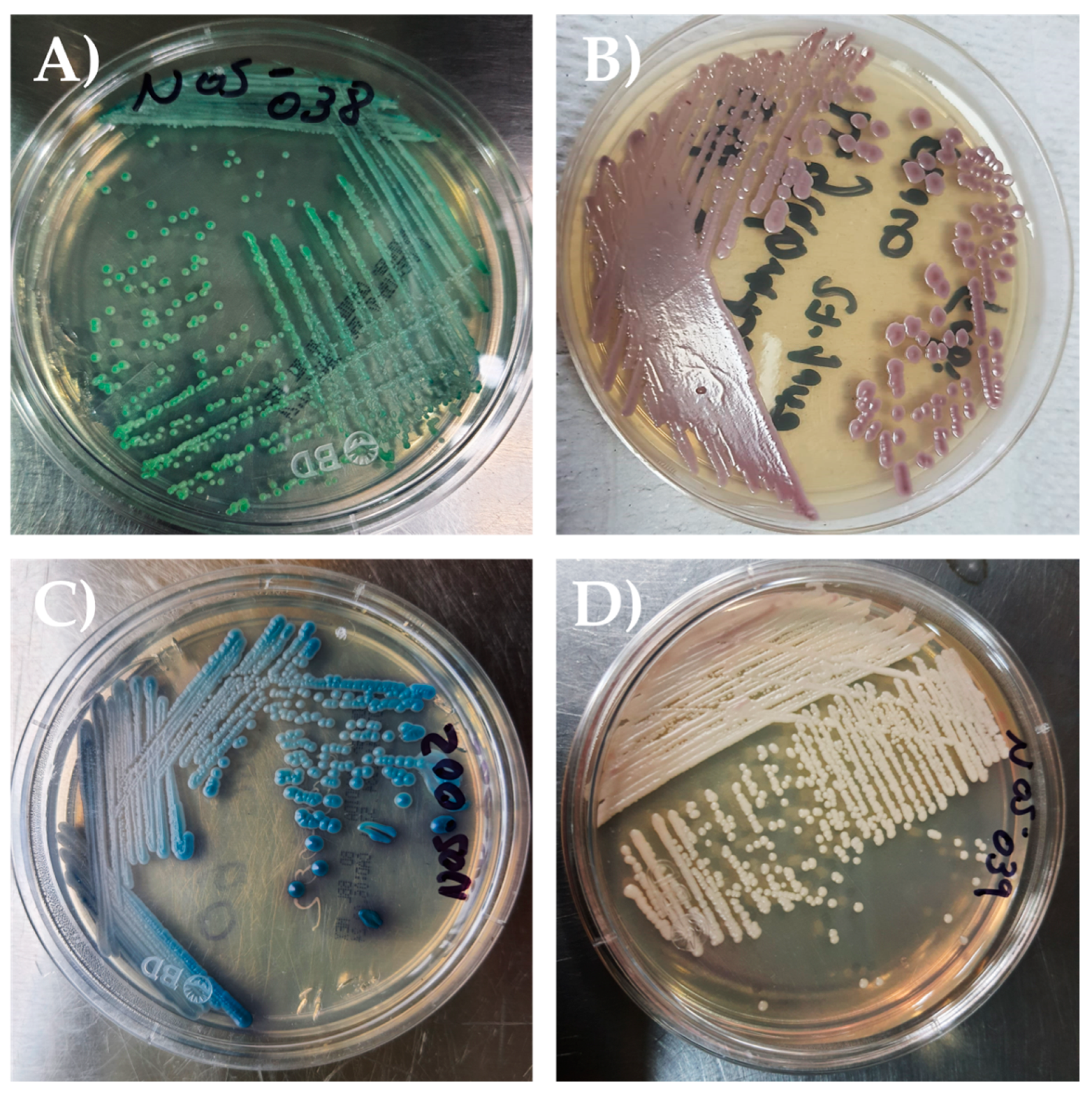 Jof 11 00895 g001 Jof 11 00895 g001