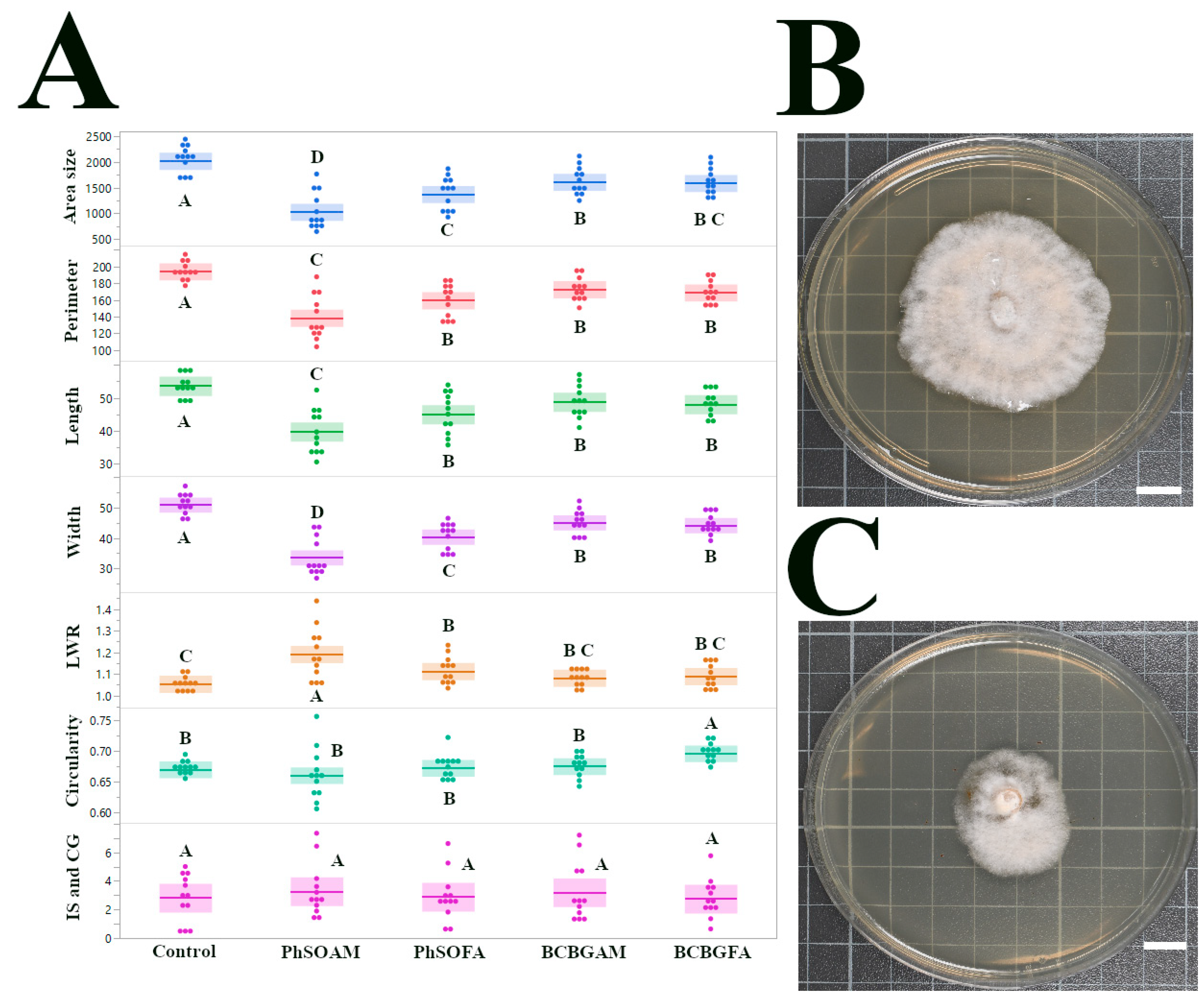 Jof 12 00033 g002 Jof 12 00033 g002