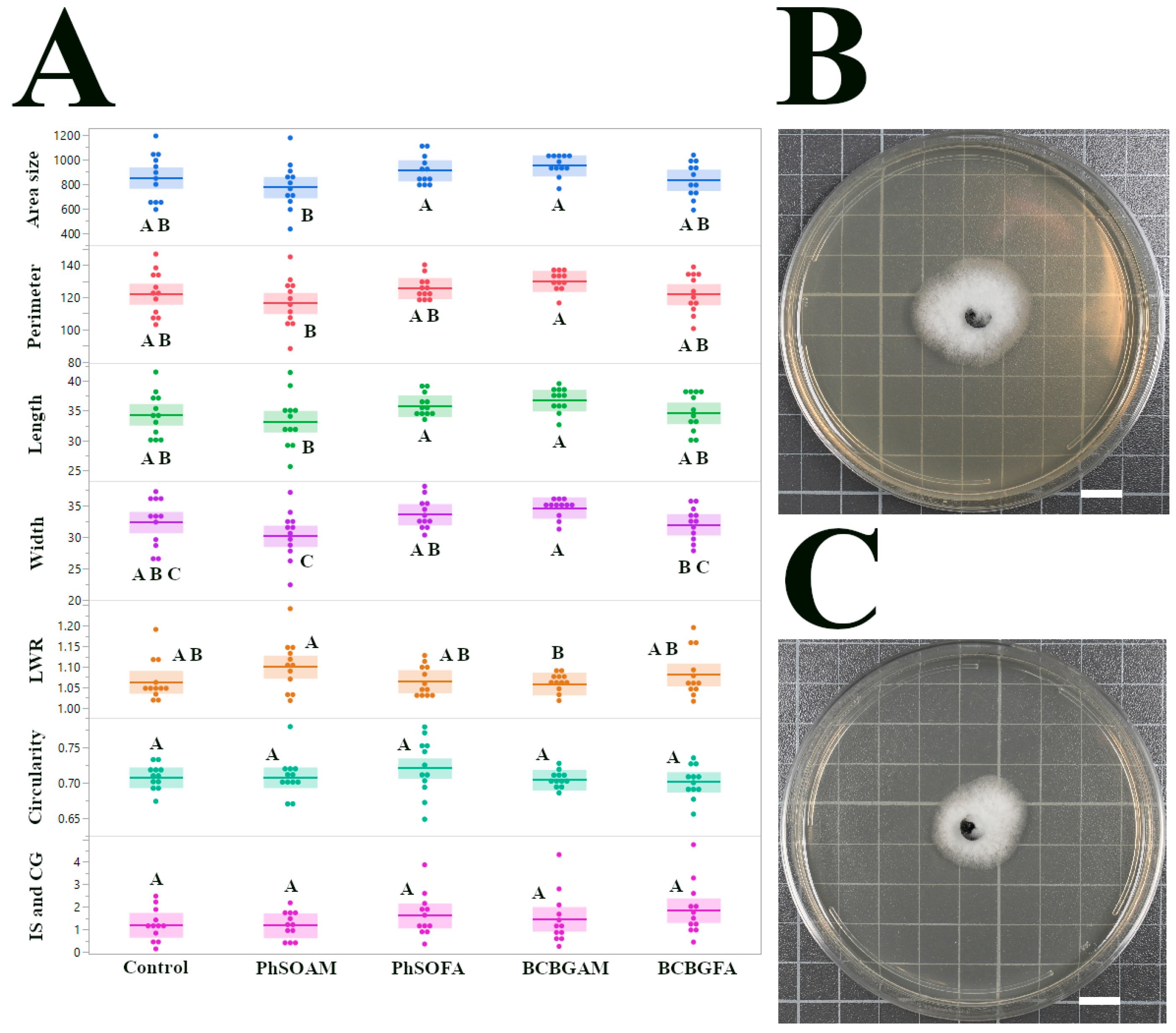 Jof 12 00033 g003 Jof 12 00033 g003
