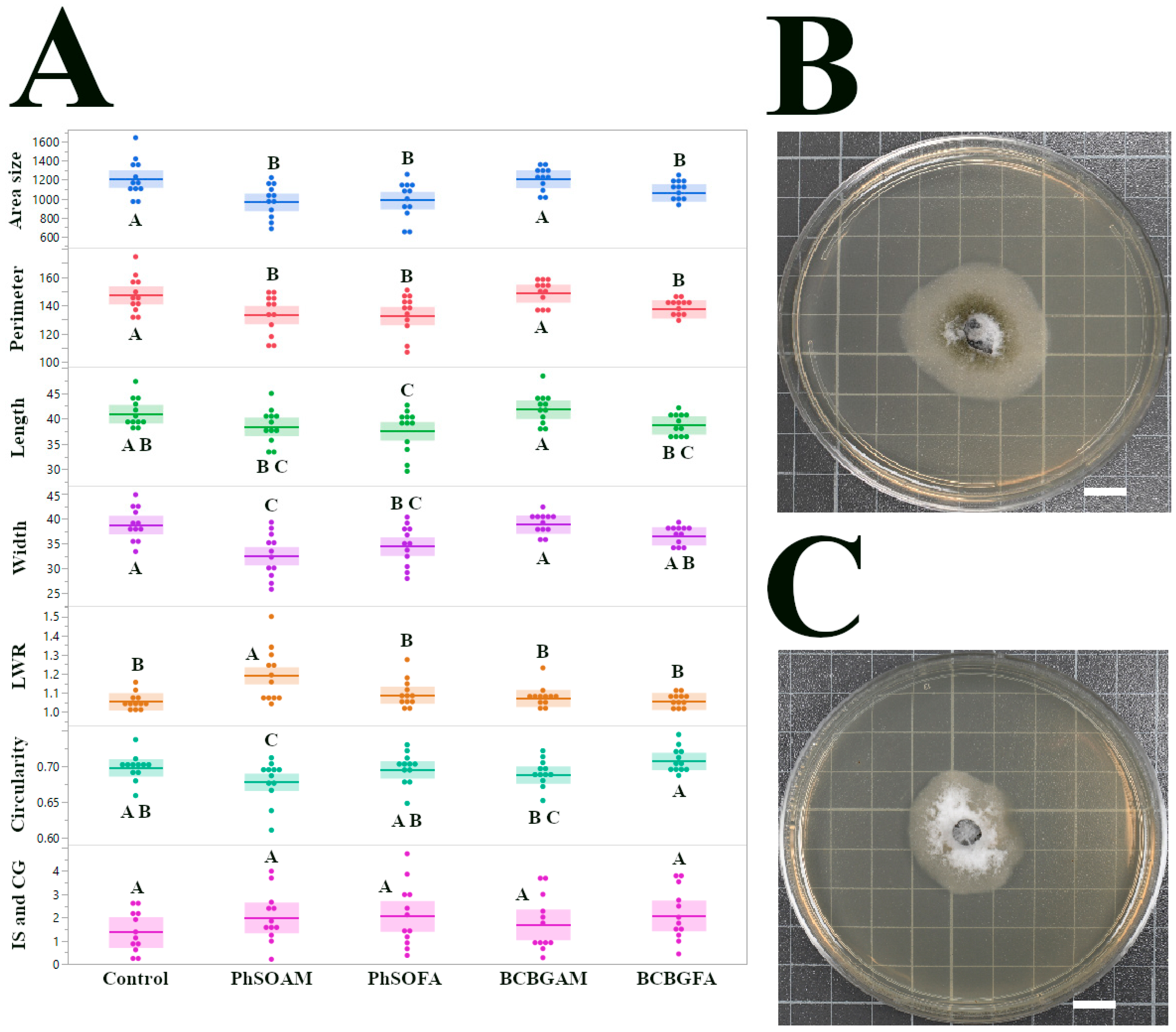 Jof 12 00033 g004 Jof 12 00033 g004