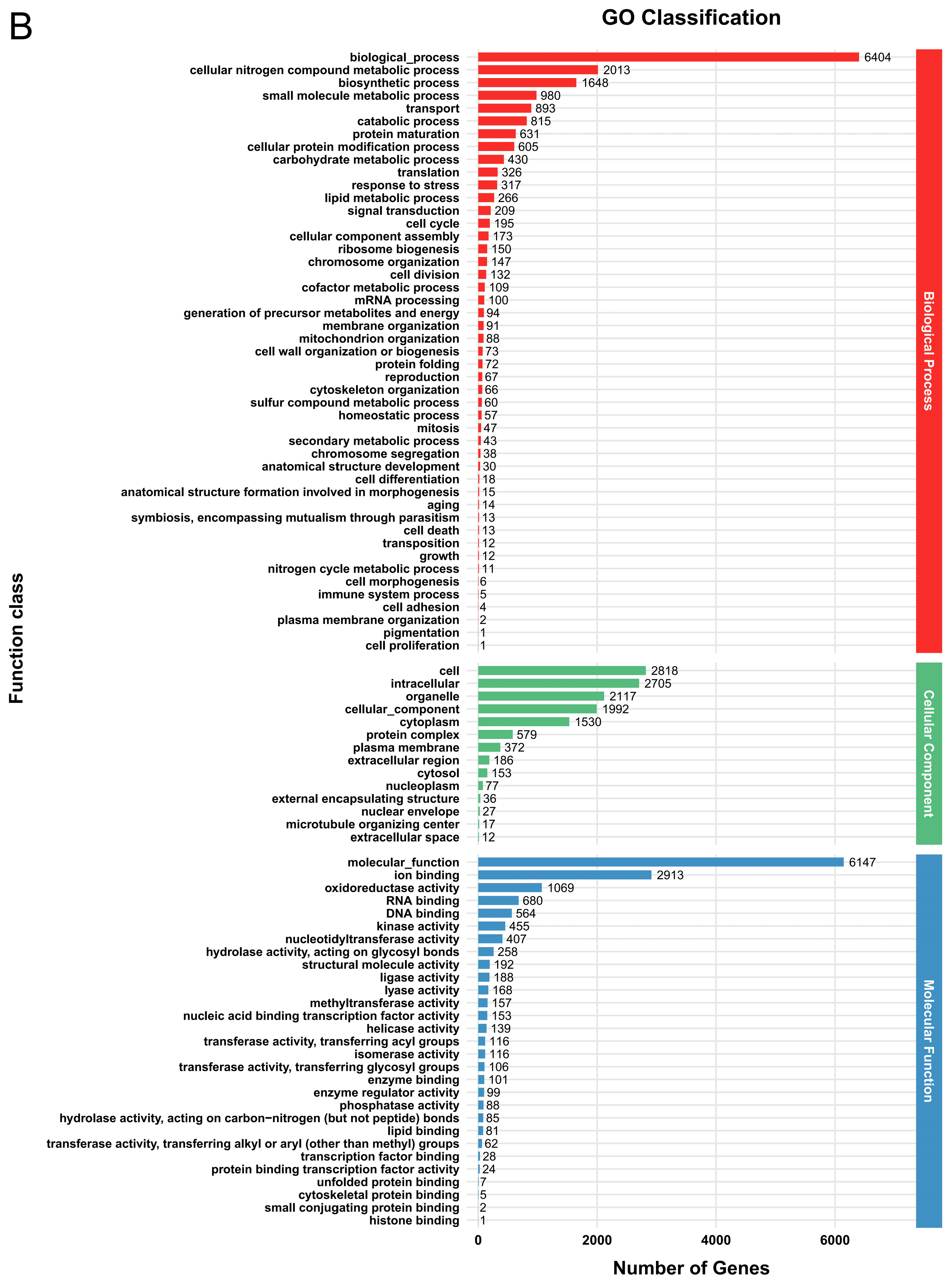 Jof 12 00035 g001b Jof 12 00035 g001b