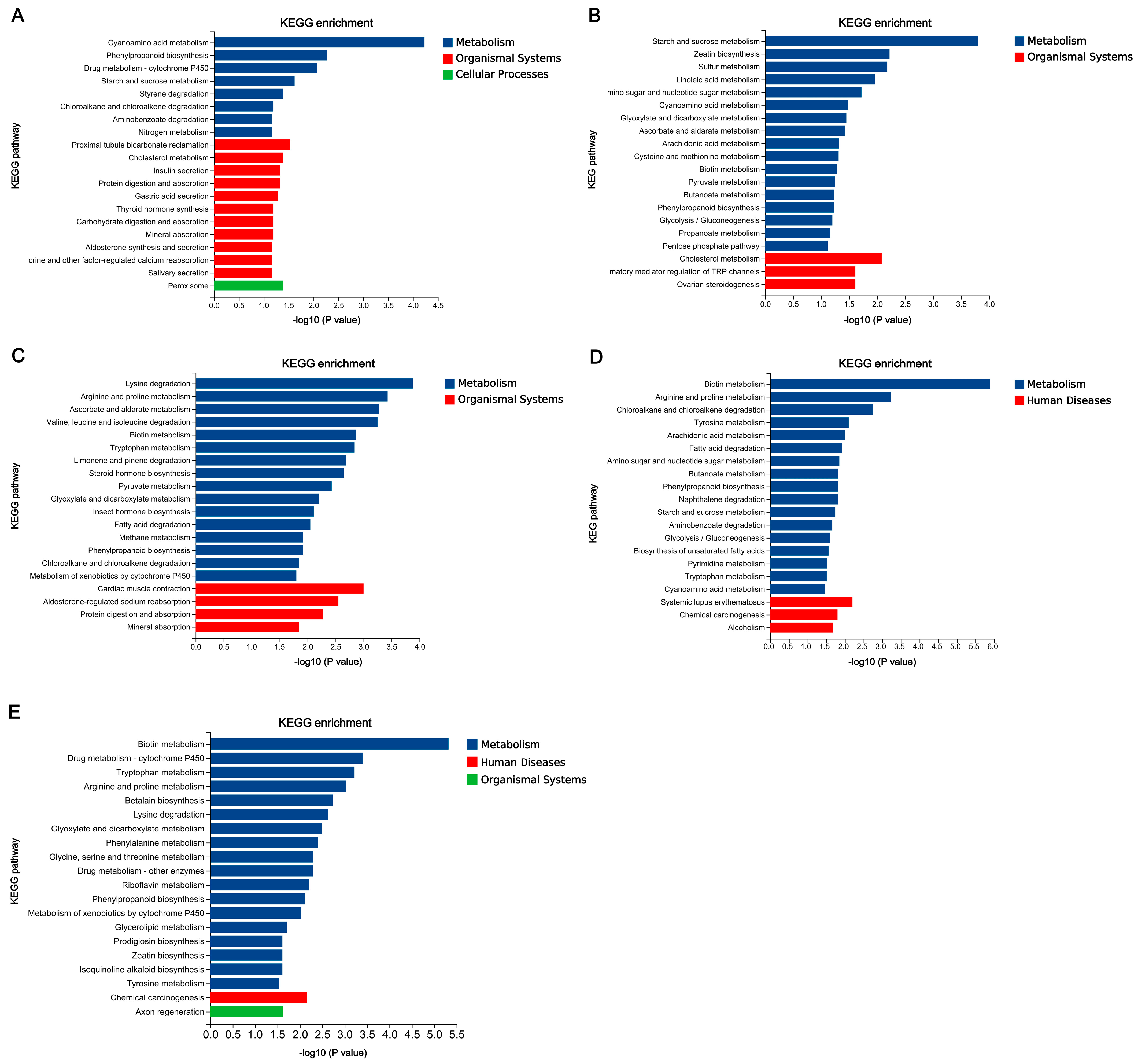 Jof 12 00035 g009 Jof 12 00035 g009