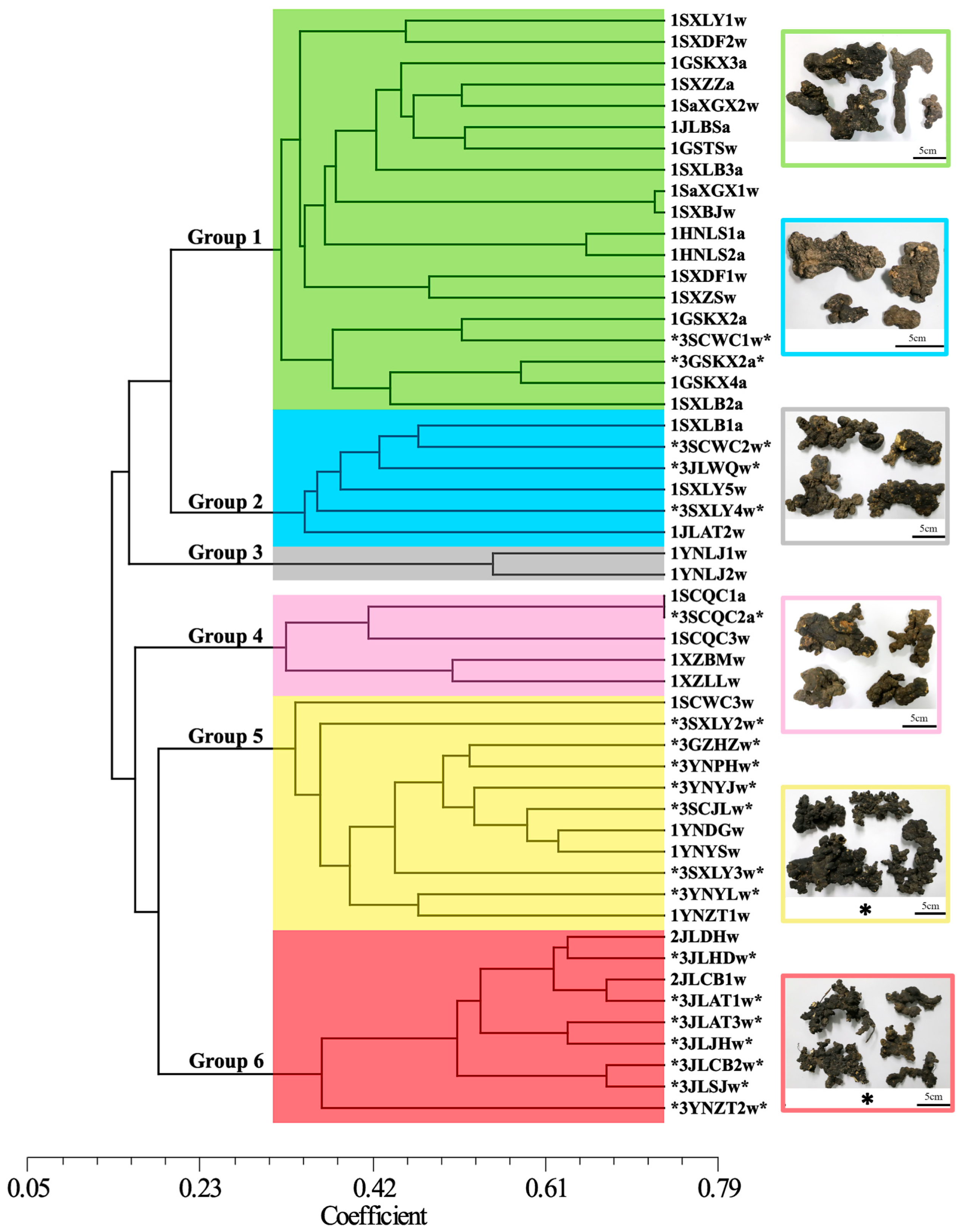 Jof 12 00039 g004 Jof 12 00039 g004