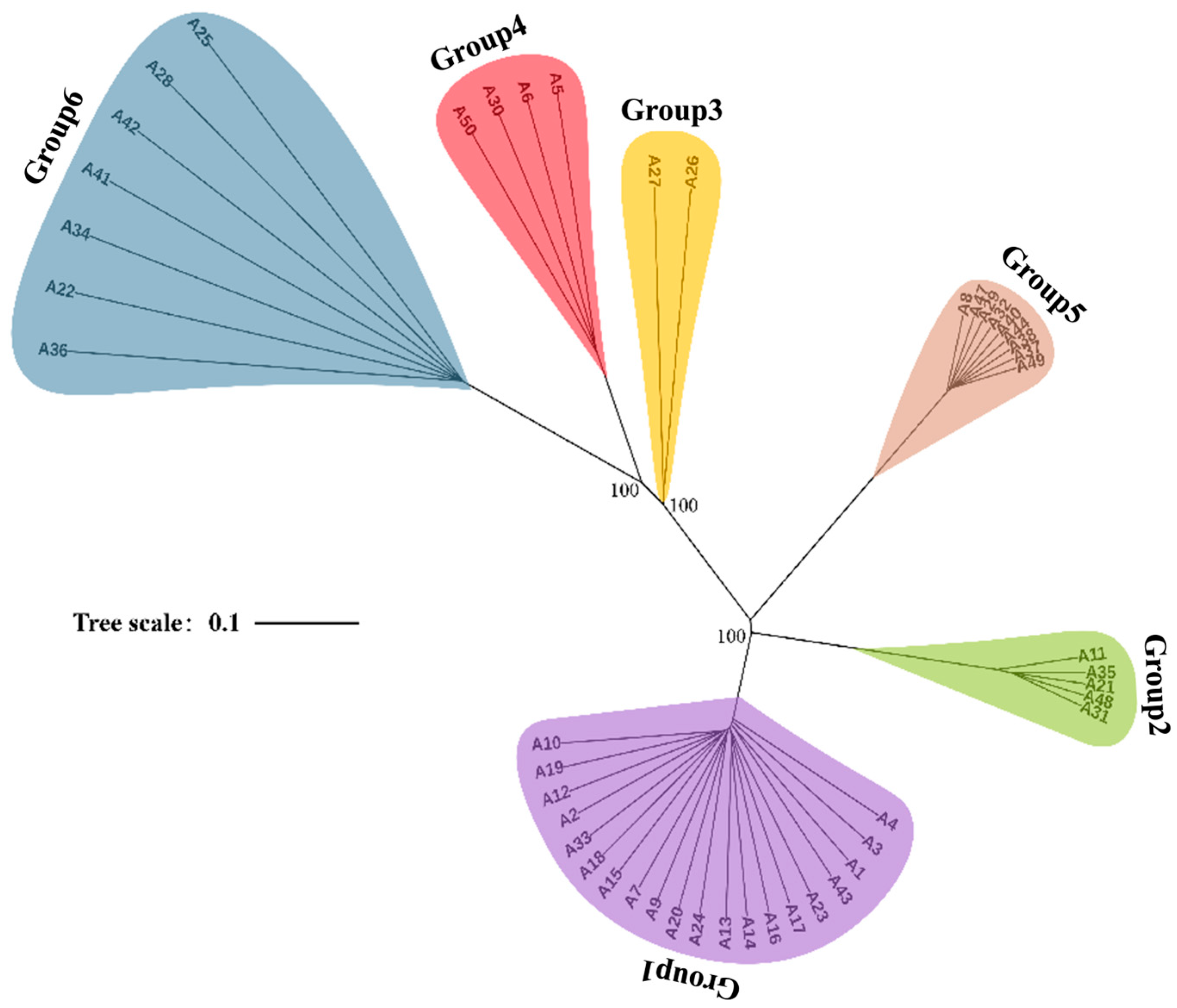 Jof 12 00039 g005 Jof 12 00039 g005