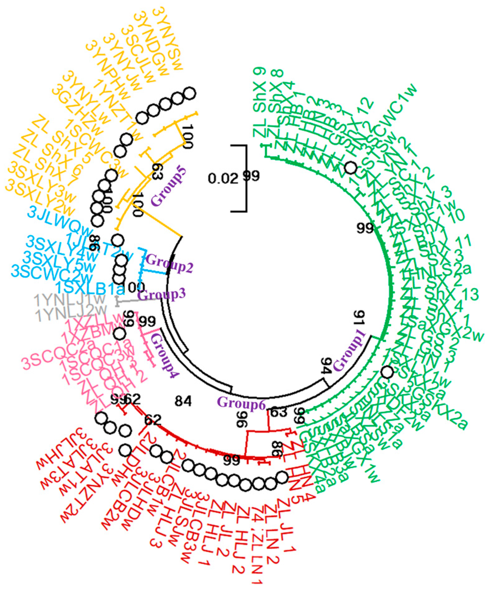 Jof 12 00039 g006 Jof 12 00039 g006