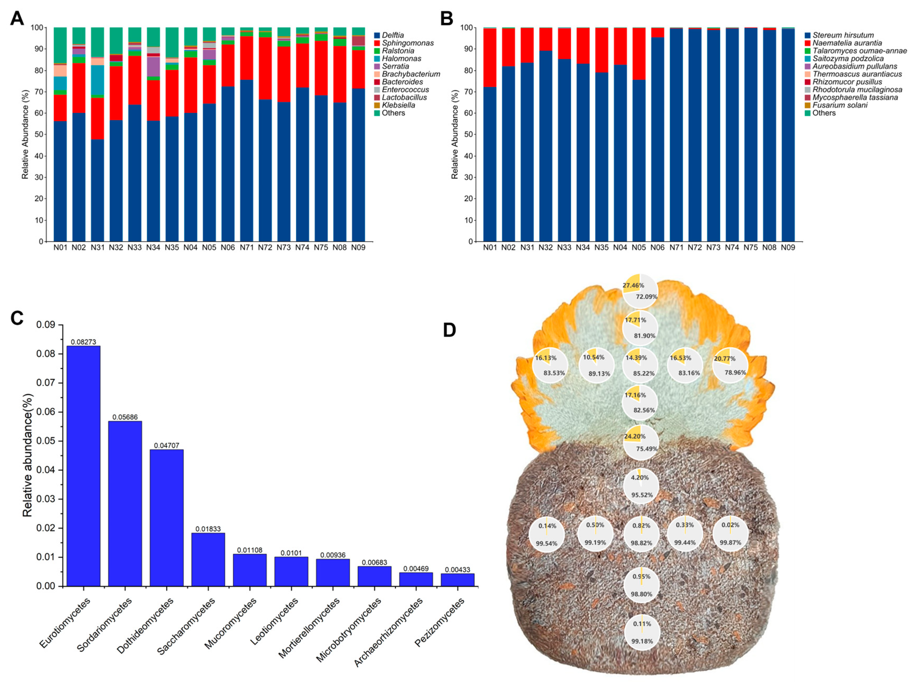 Jof 12 00041 g002 Jof 12 00041 g002