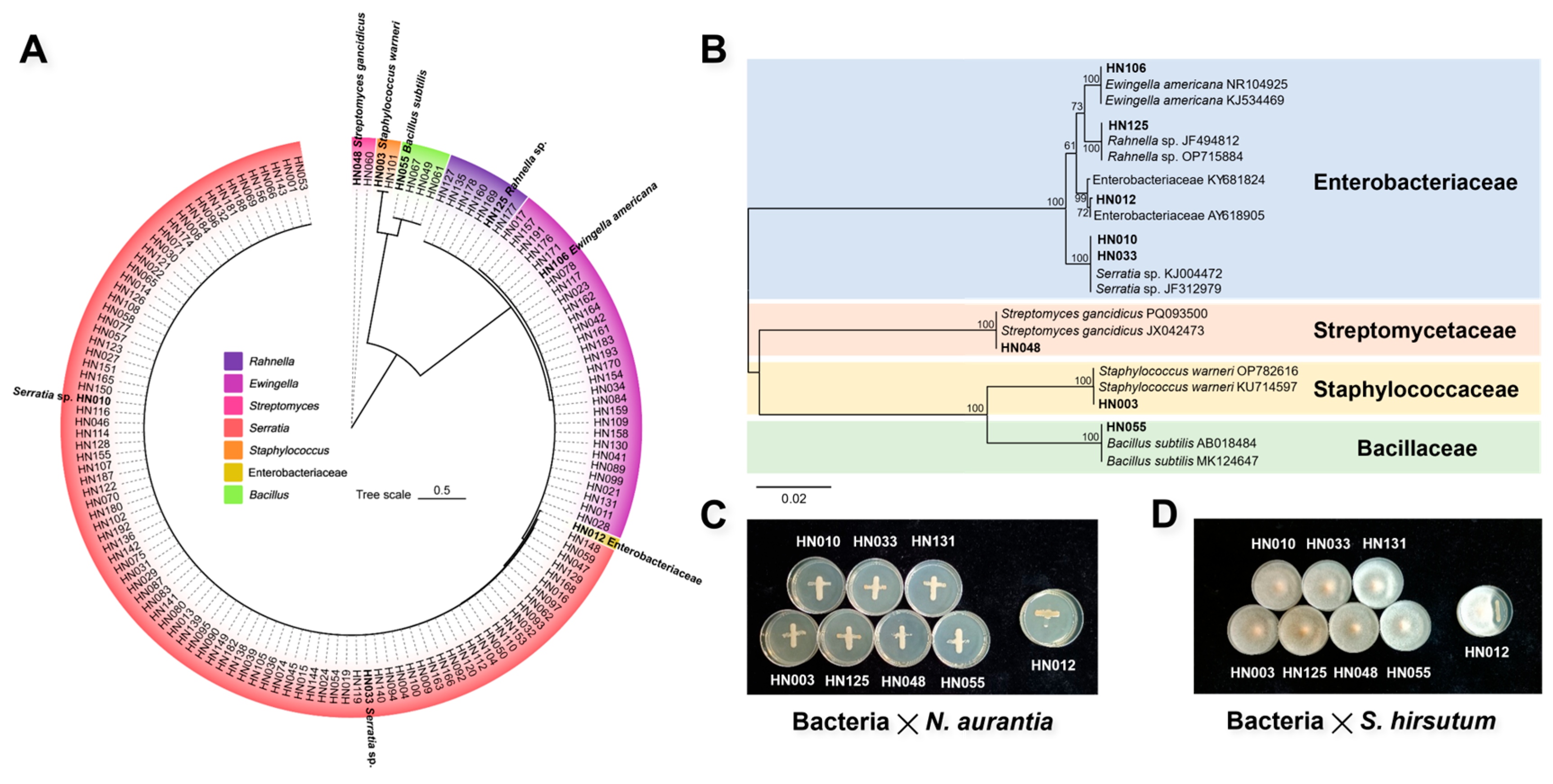 Jof 12 00041 g007 Jof 12 00041 g007
