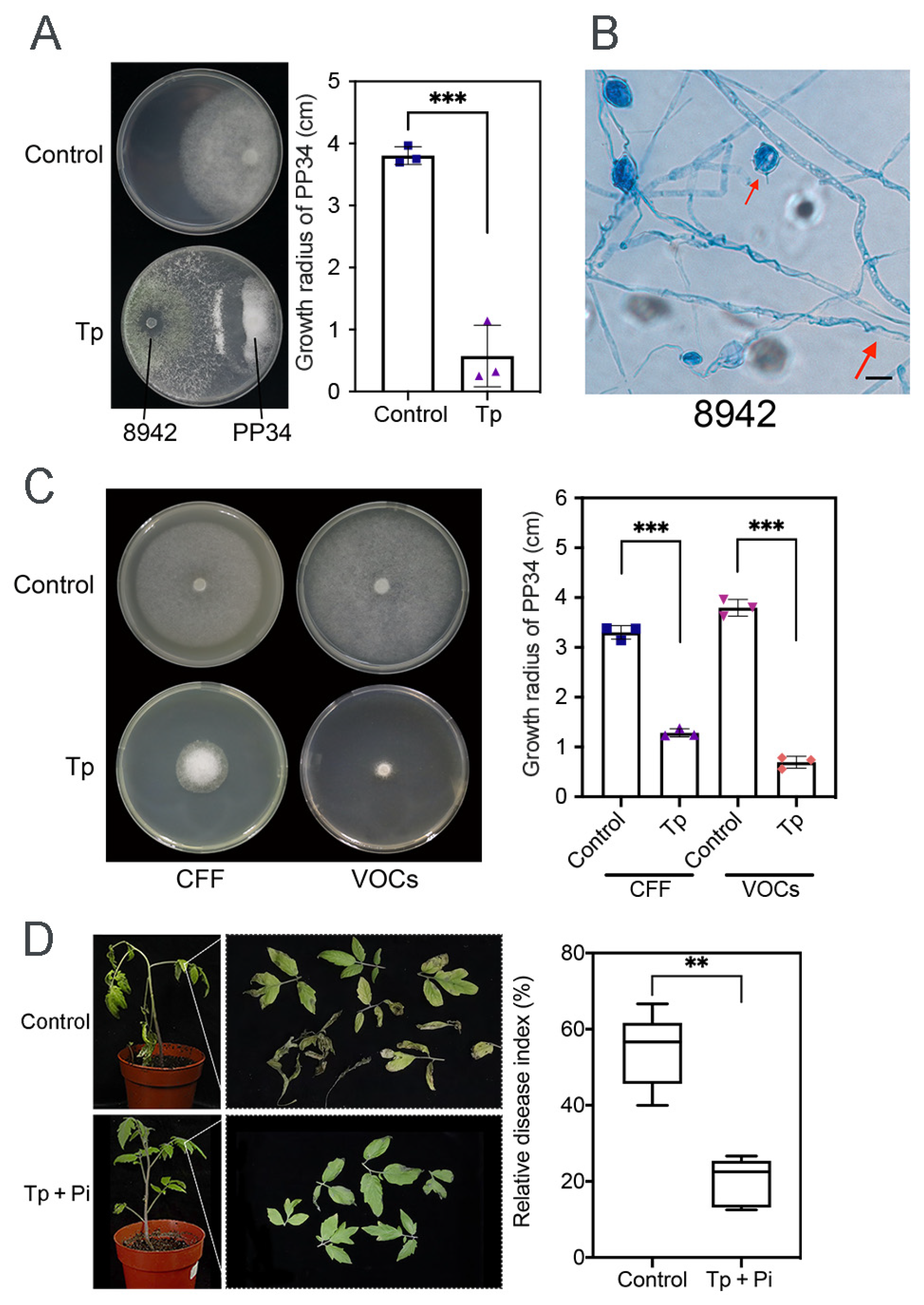 Jof 12 00096 g001 Jof 12 00096 g001