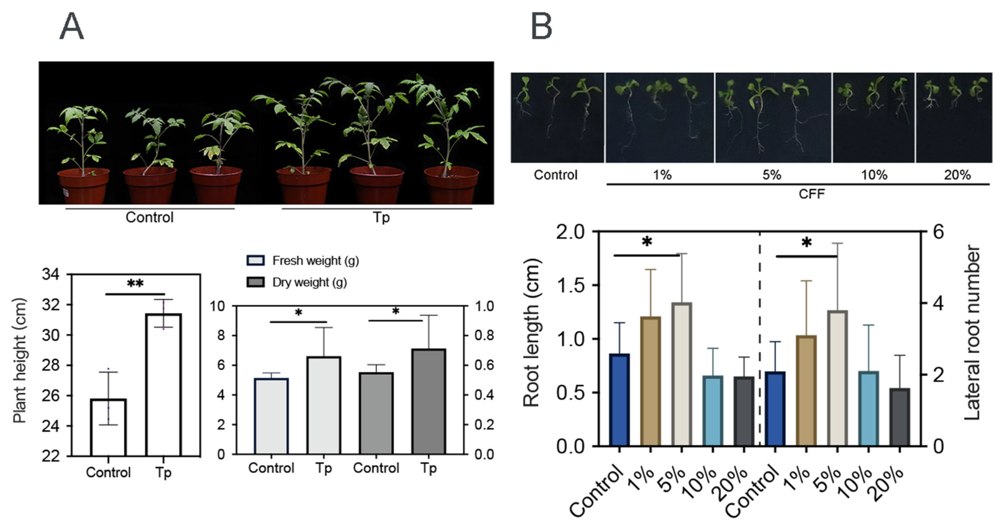 Jof 12 00096 g003 Jof 12 00096 g003