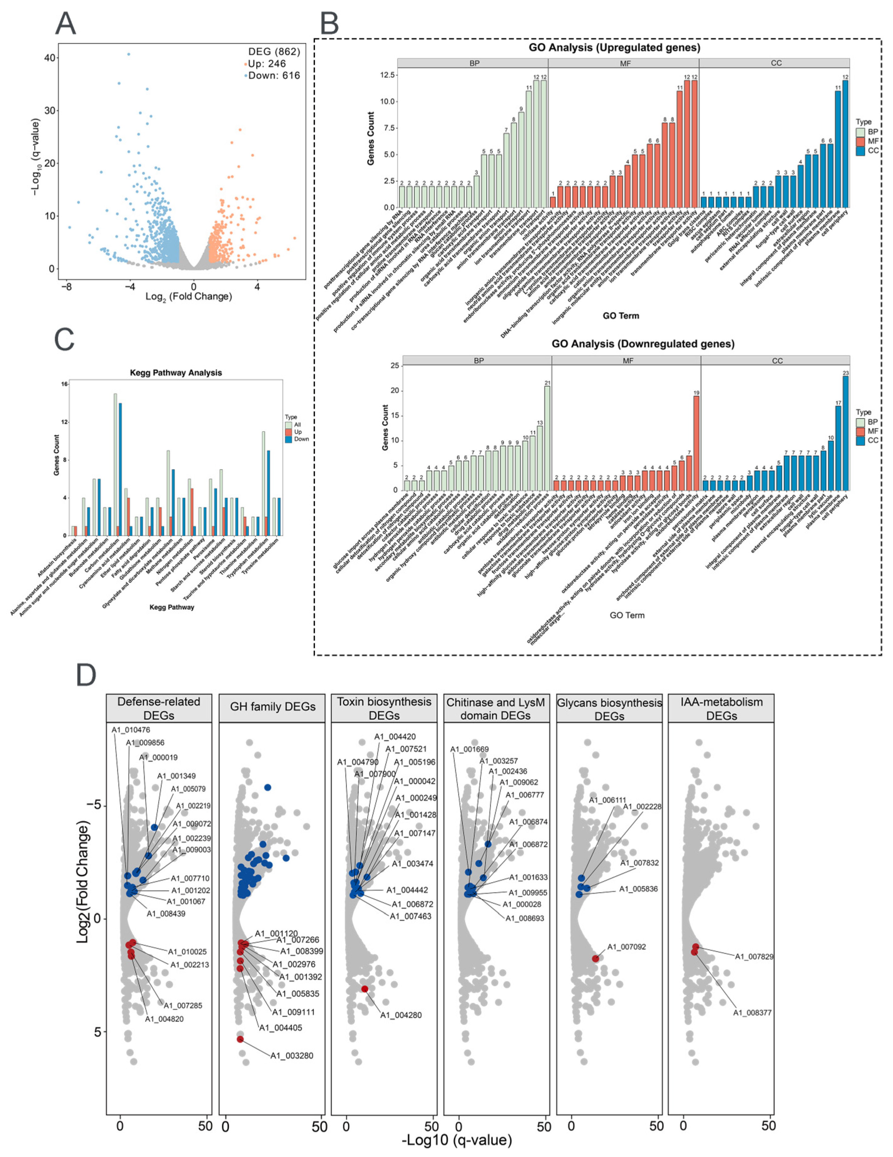 Jof 12 00096 g005 Jof 12 00096 g005