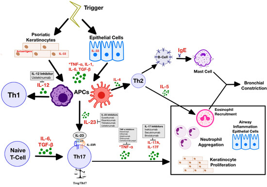 Bidirectional Association between Psoriasis and Asthma: A 