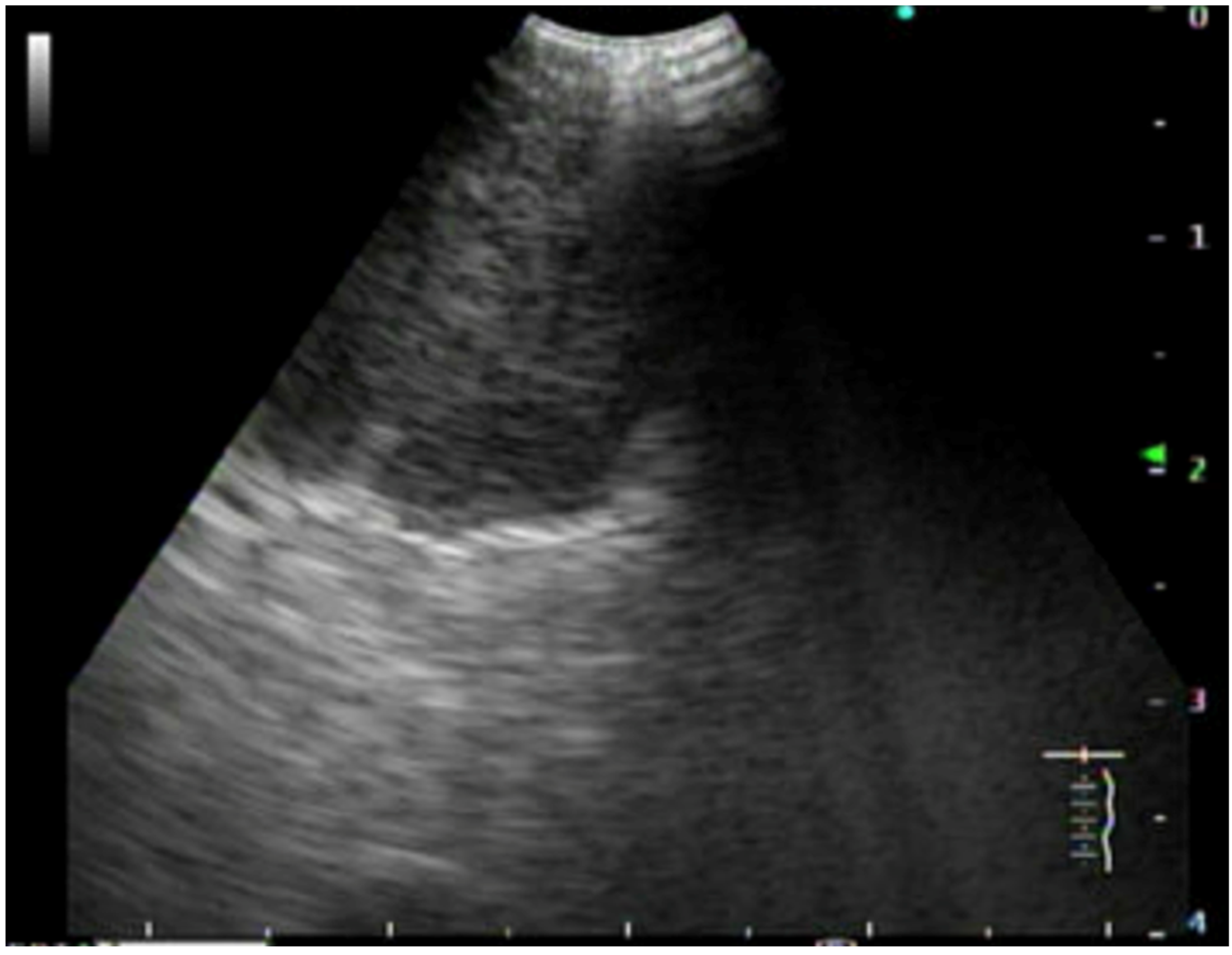 Jor 04 00005 g001 Jor 04 00005 g001