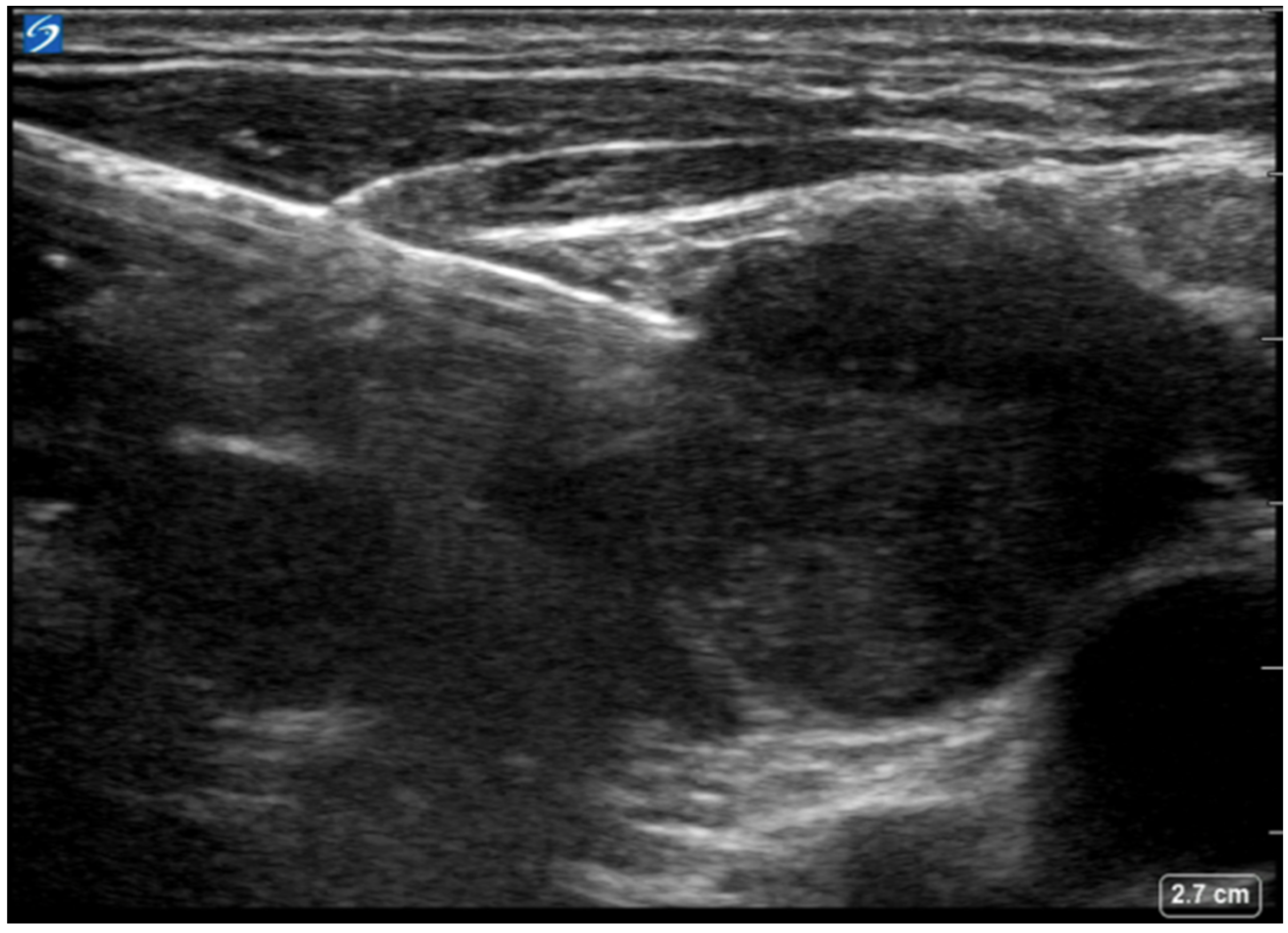 Jor 04 00005 g003 Jor 04 00005 g003