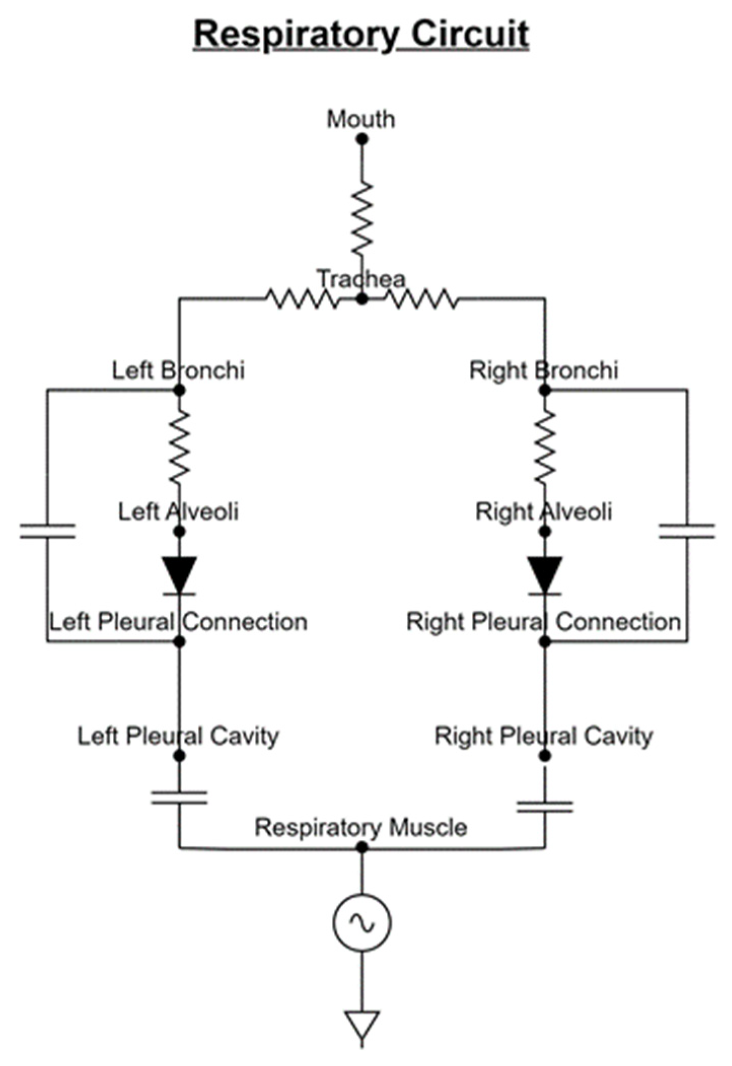 Jor 05 00001 g002 Jor 05 00001 g002