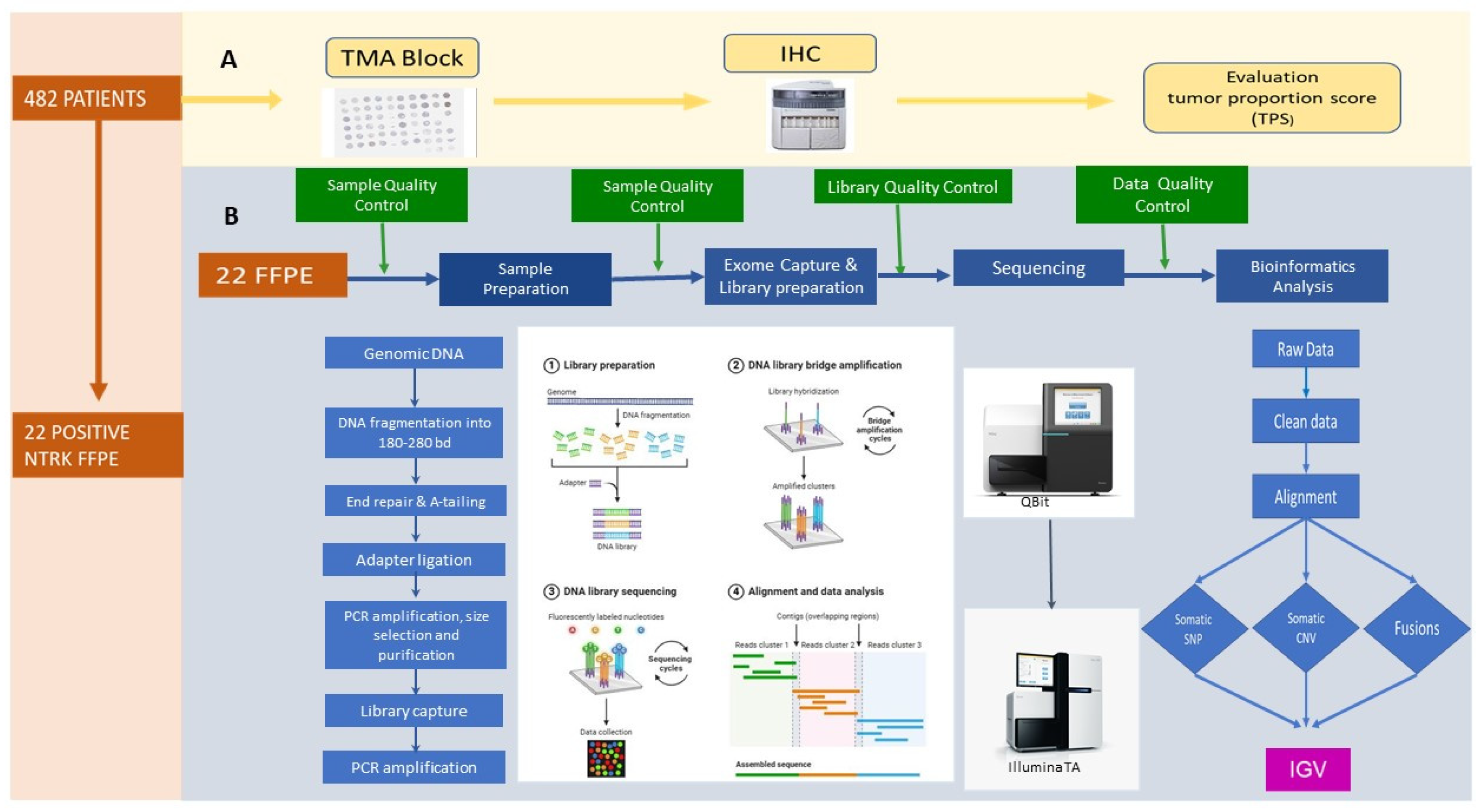 Jor 05 00002 g002 Jor 05 00002 g002
