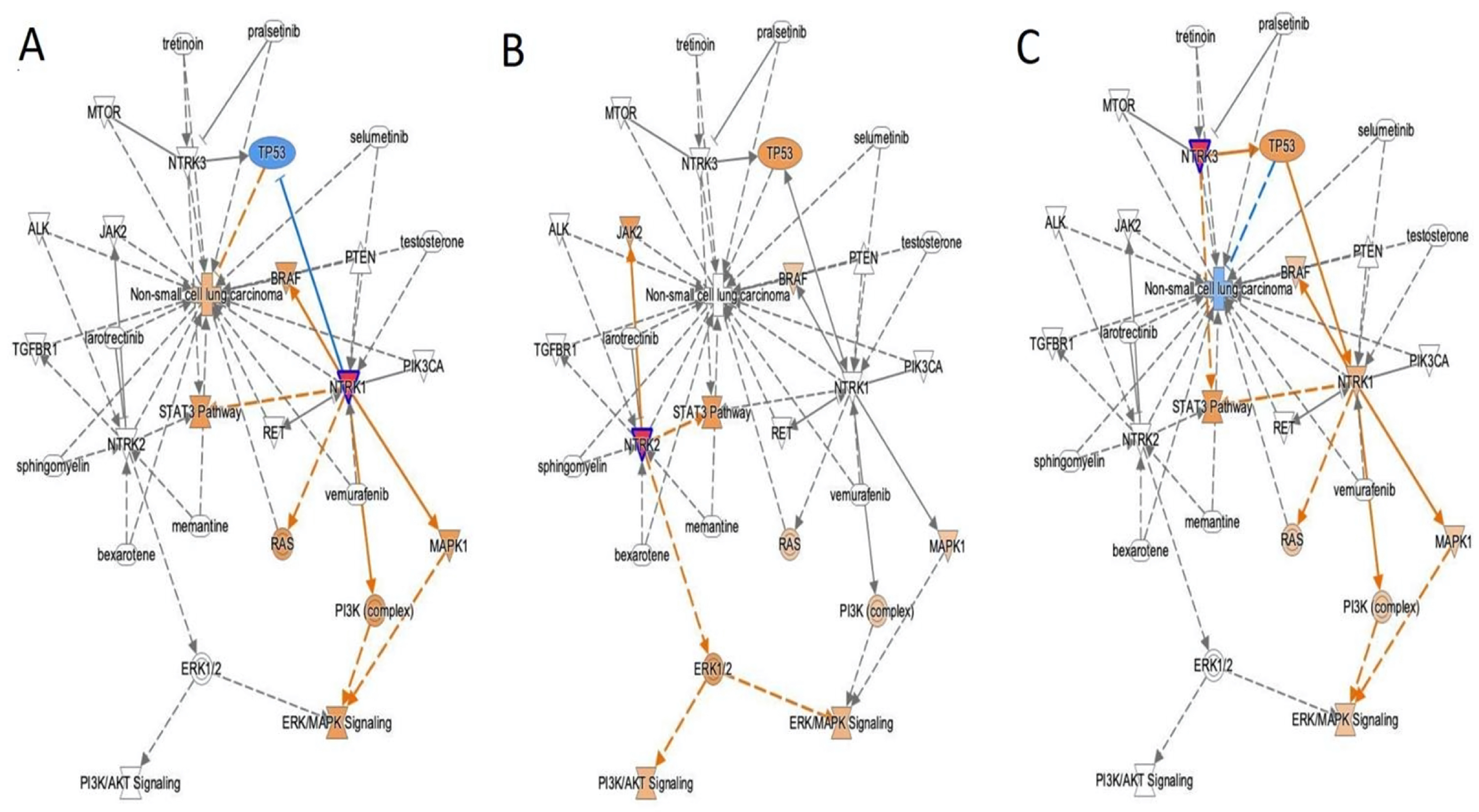 Jor 05 00002 g007 Jor 05 00002 g007