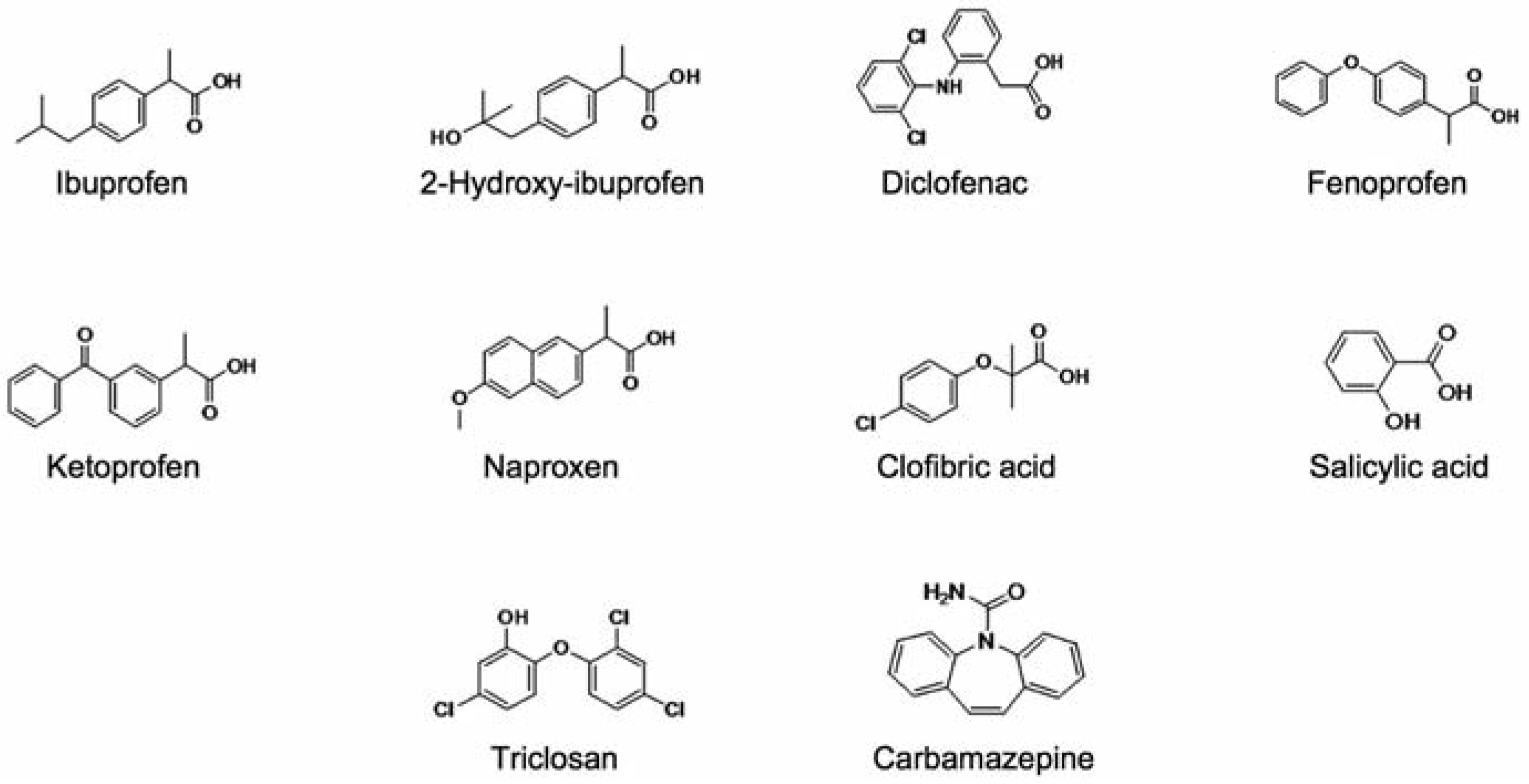 Jox 02 e3 g001 Jox 02 e3 g001