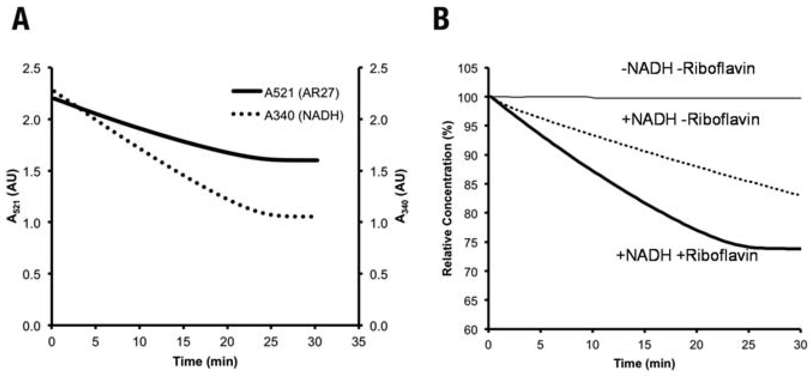 Jox 03 e2 g003 Jox 03 e2 g003