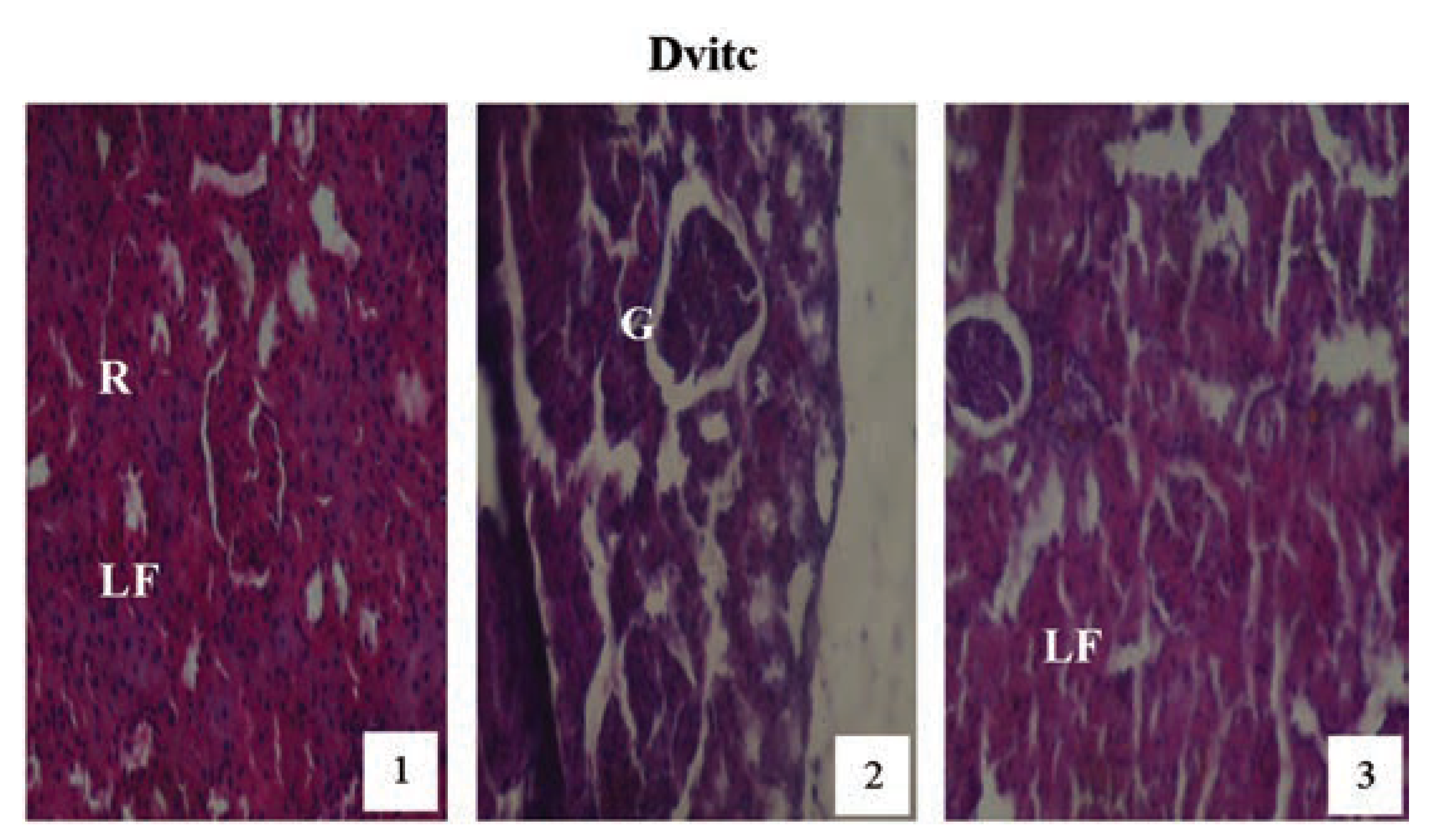 Jox 04 03945 g013 Jox 04 03945 g013