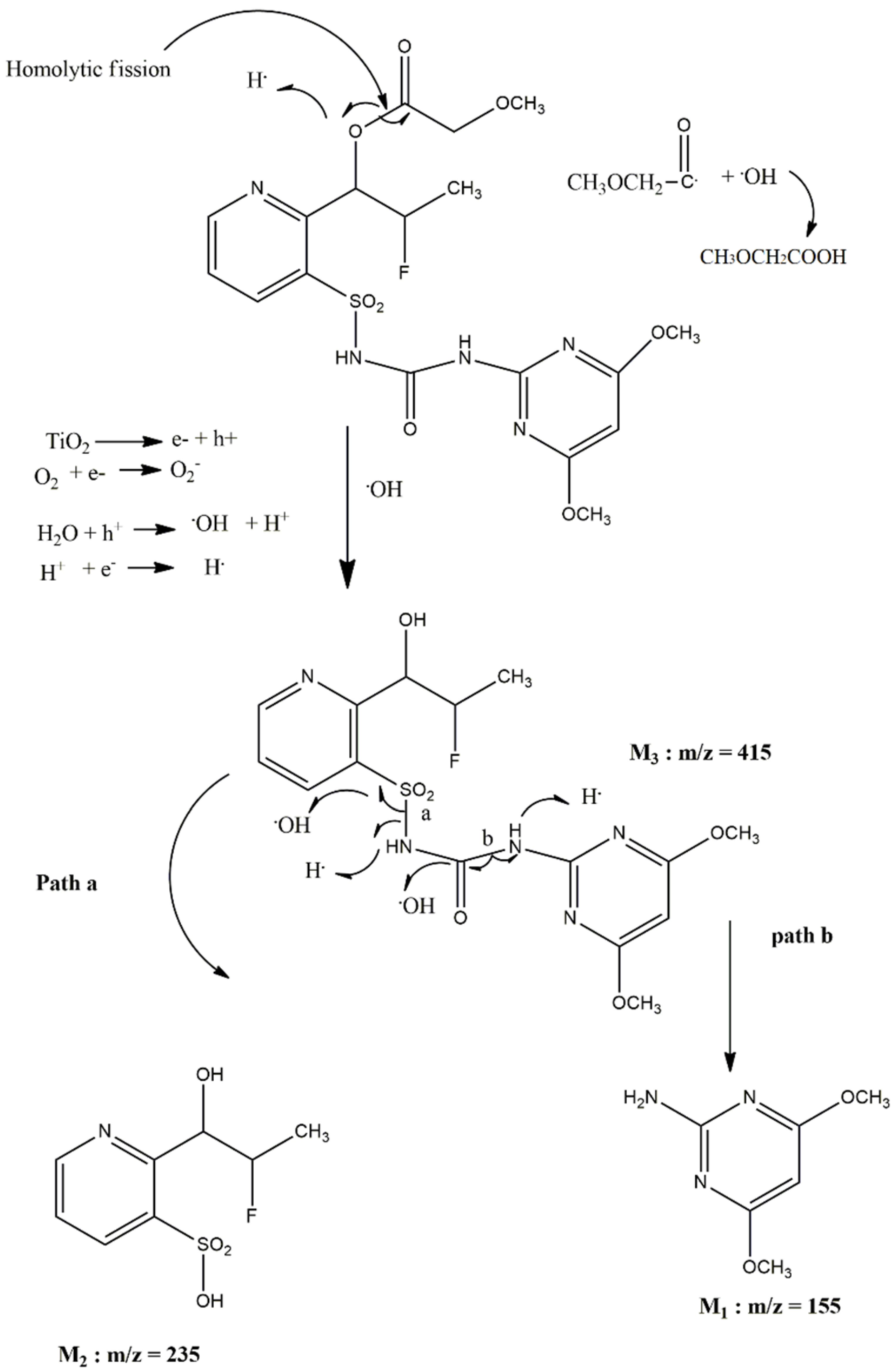 Jox 11 00010 g005 550