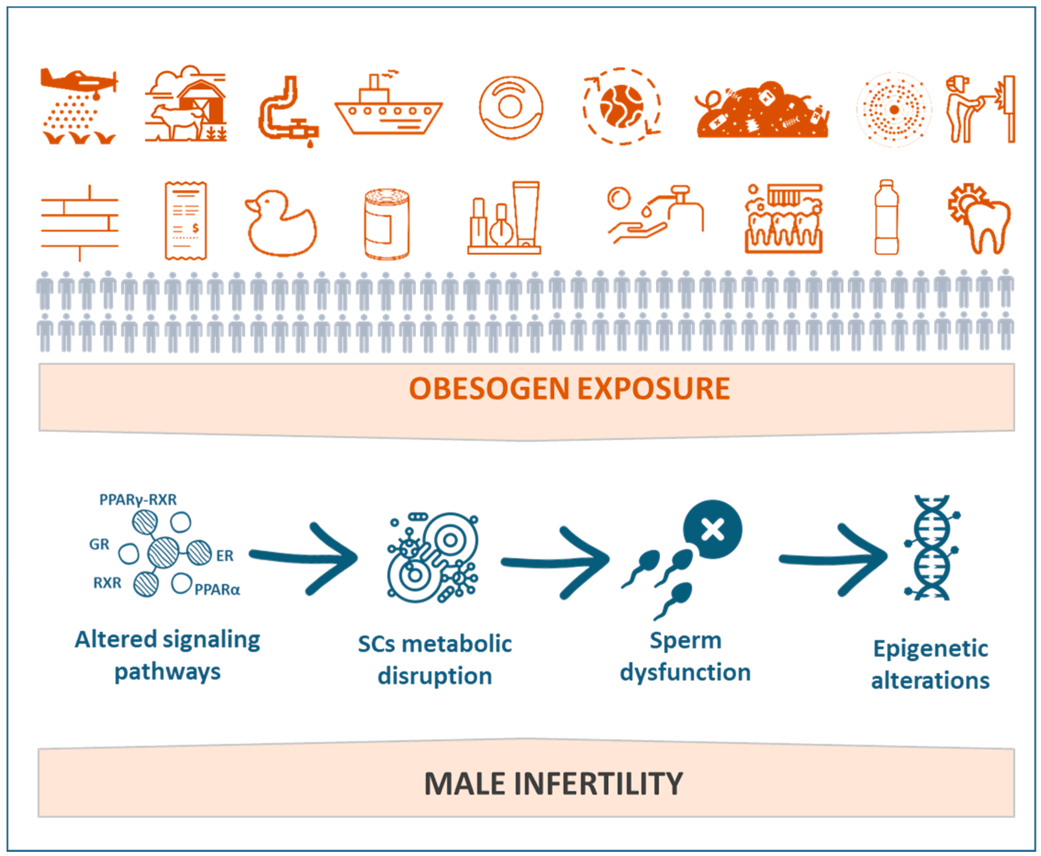 Jox 11 00012 g002 Jox 11 00012 g002