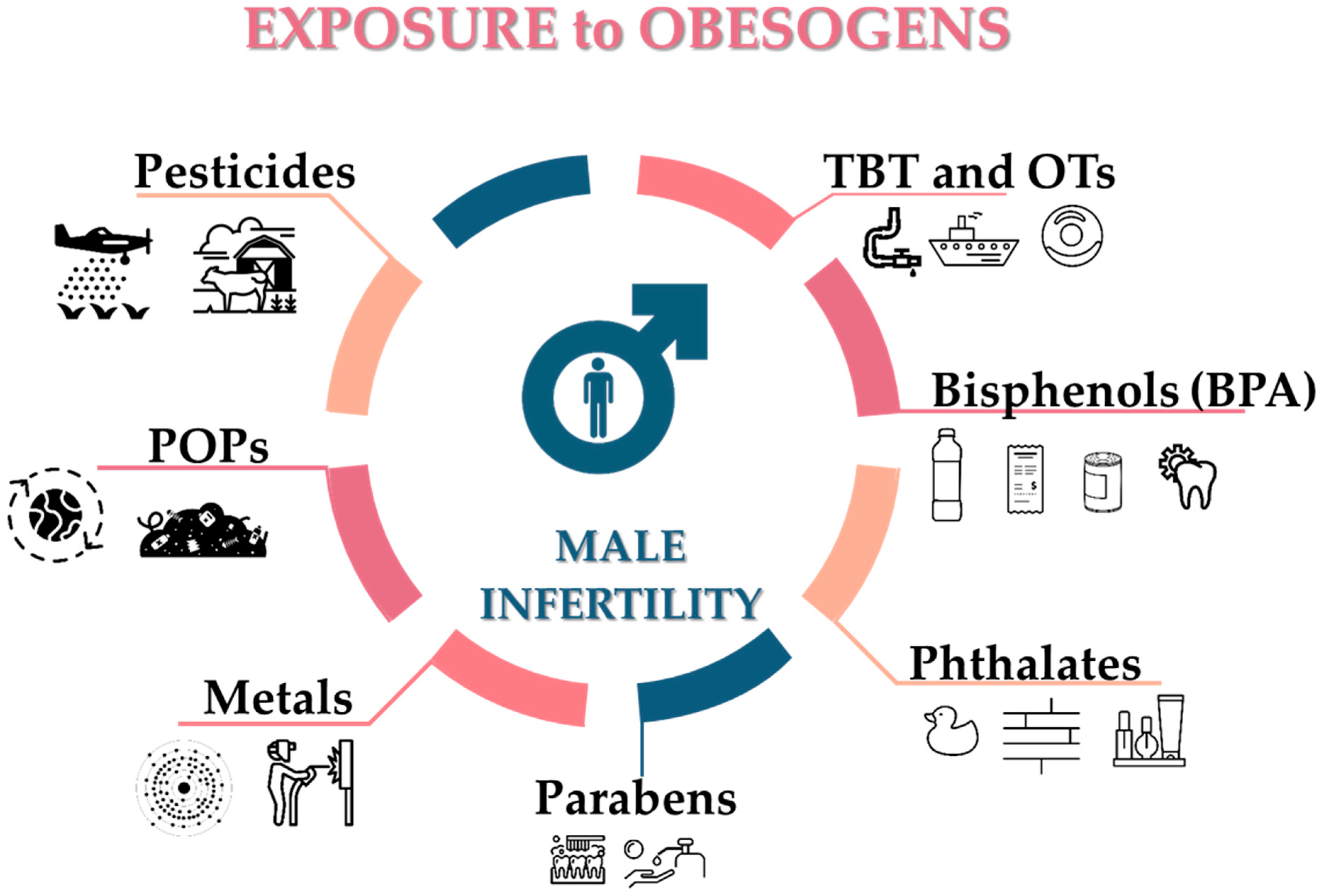 Jox 11 00012 g003 Jox 11 00012 g003