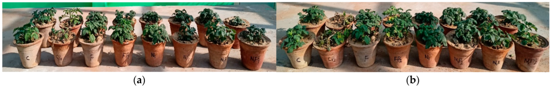 Jox 12 00008 g007 550