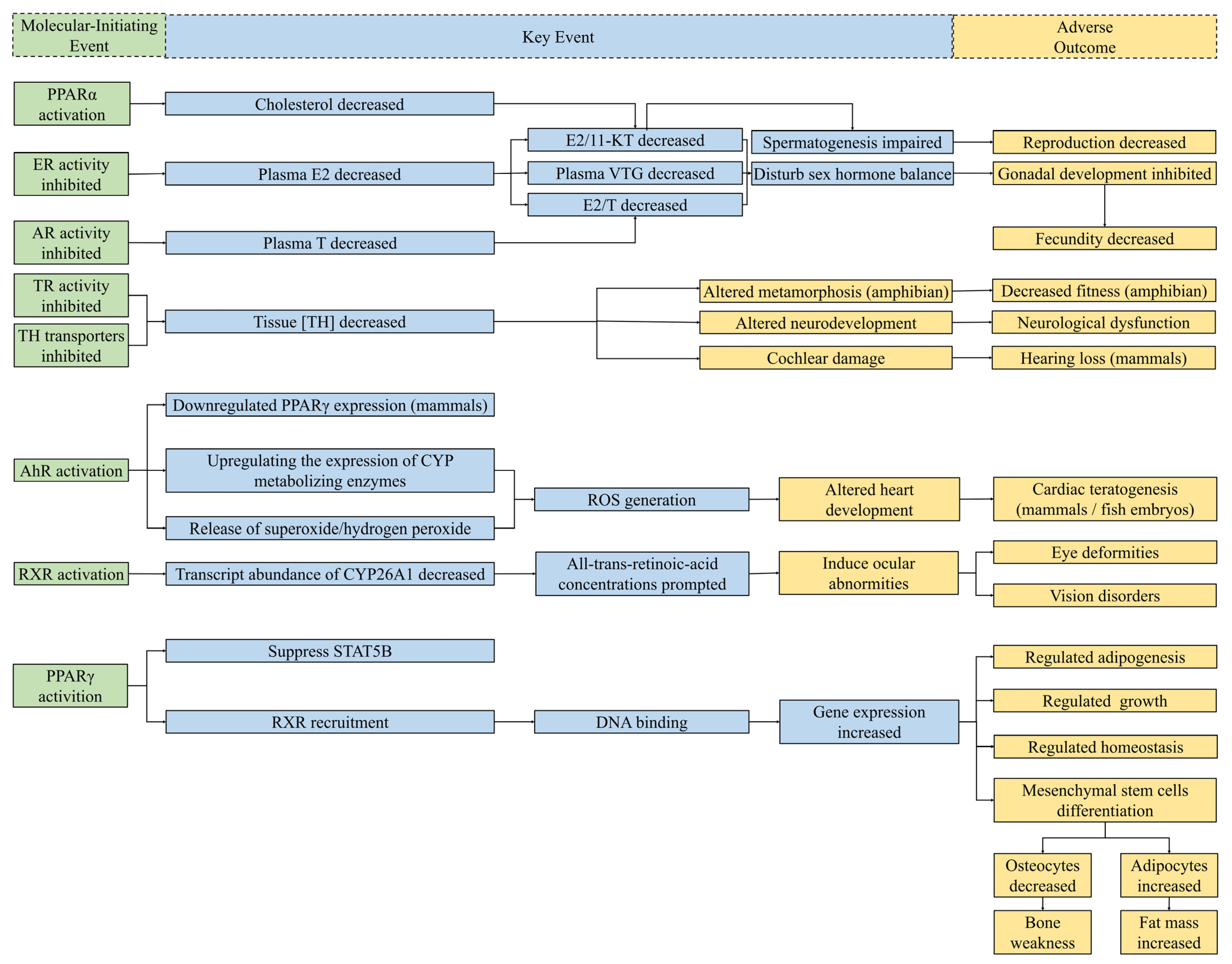 Jox 12 00013 g004 Jox 12 00013 g004