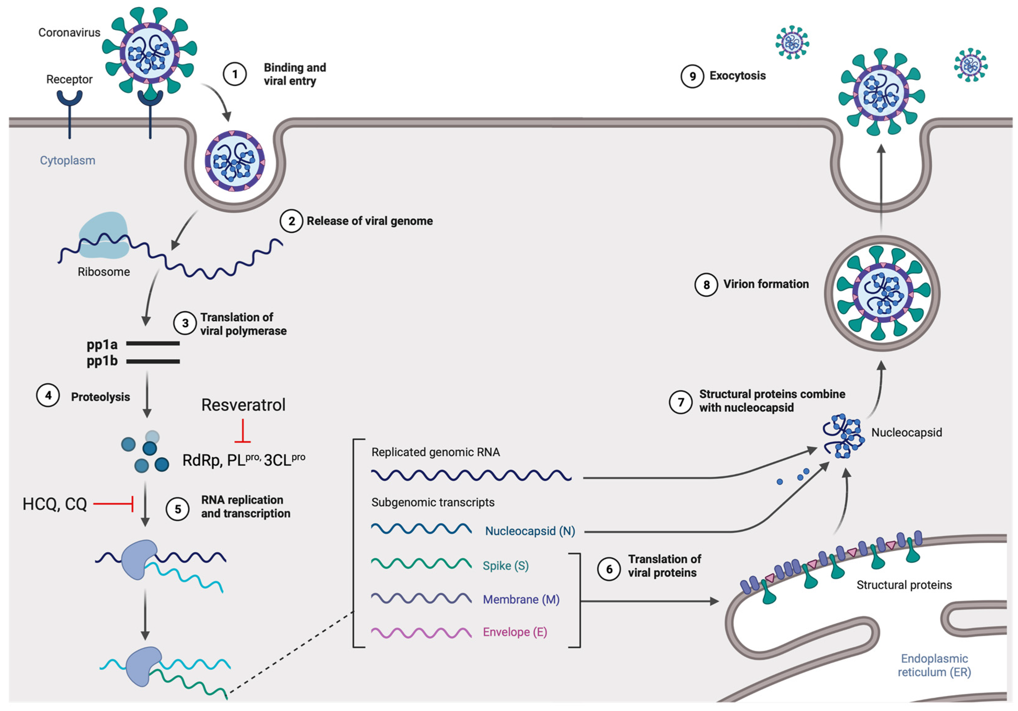 Jox 12 00020 g002 Jox 12 00020 g002