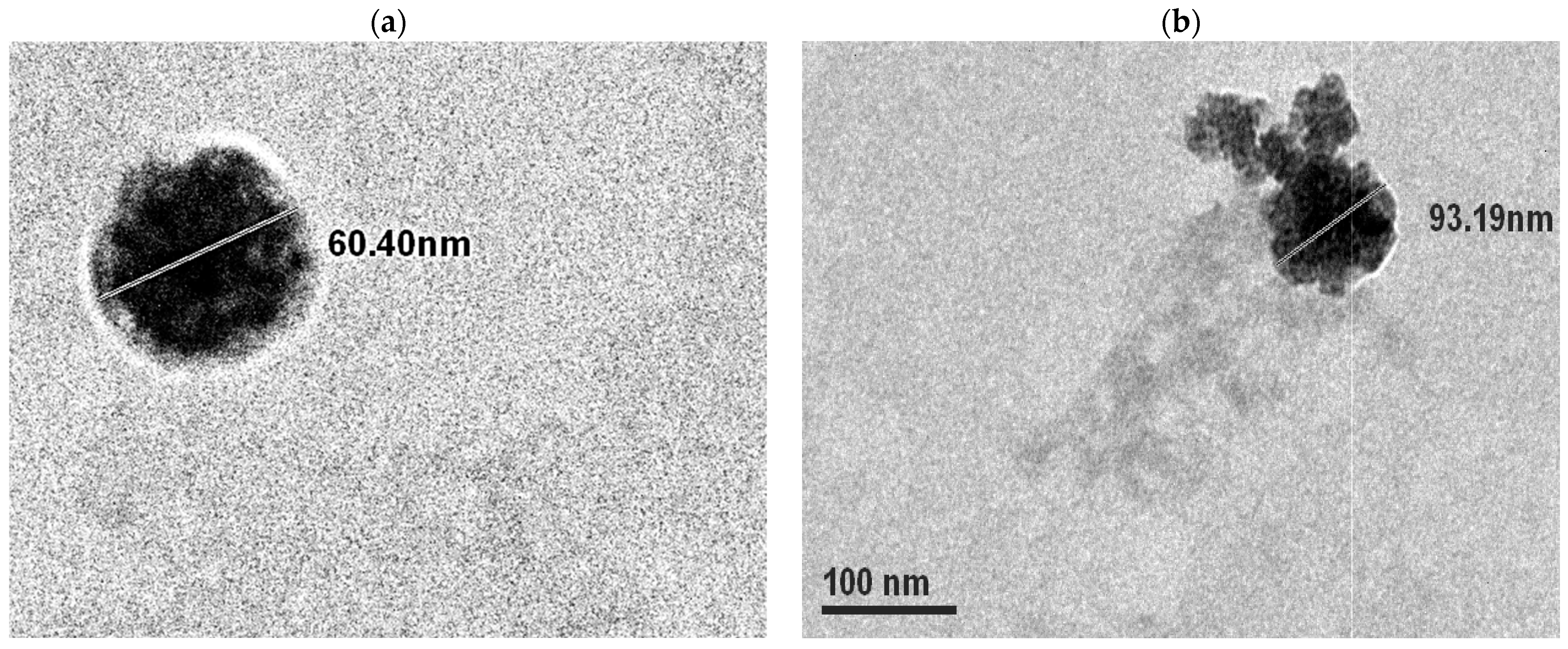 Jox 13 00012 g001 Jox 13 00012 g001