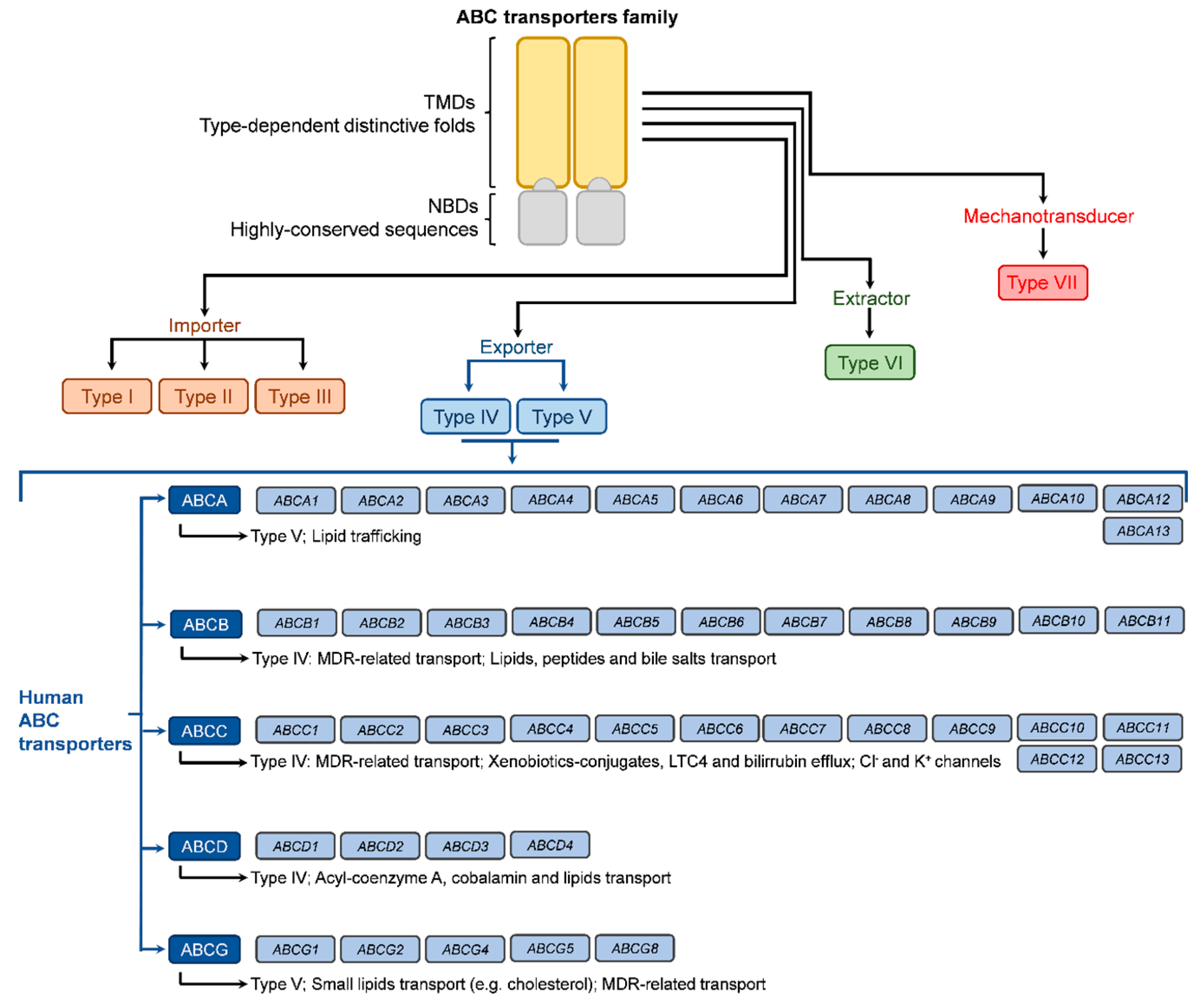 Jox 13 00014 g002 Jox 13 00014 g002