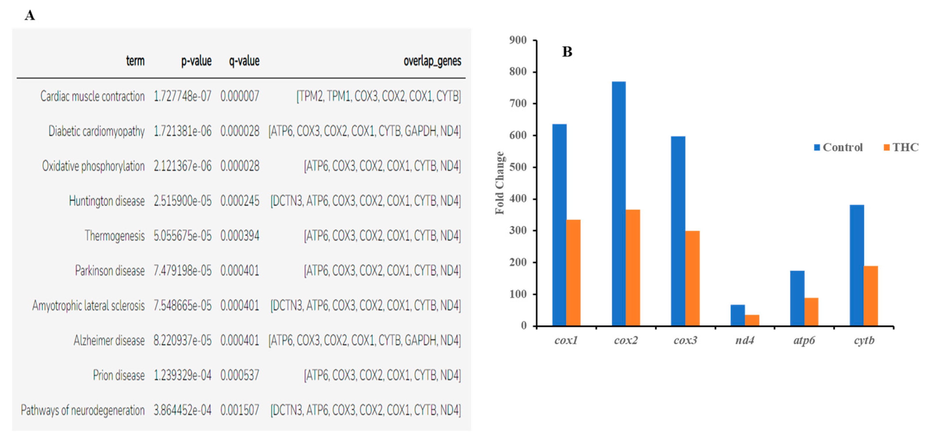 Jox 13 00018 g004 Jox 13 00018 g004