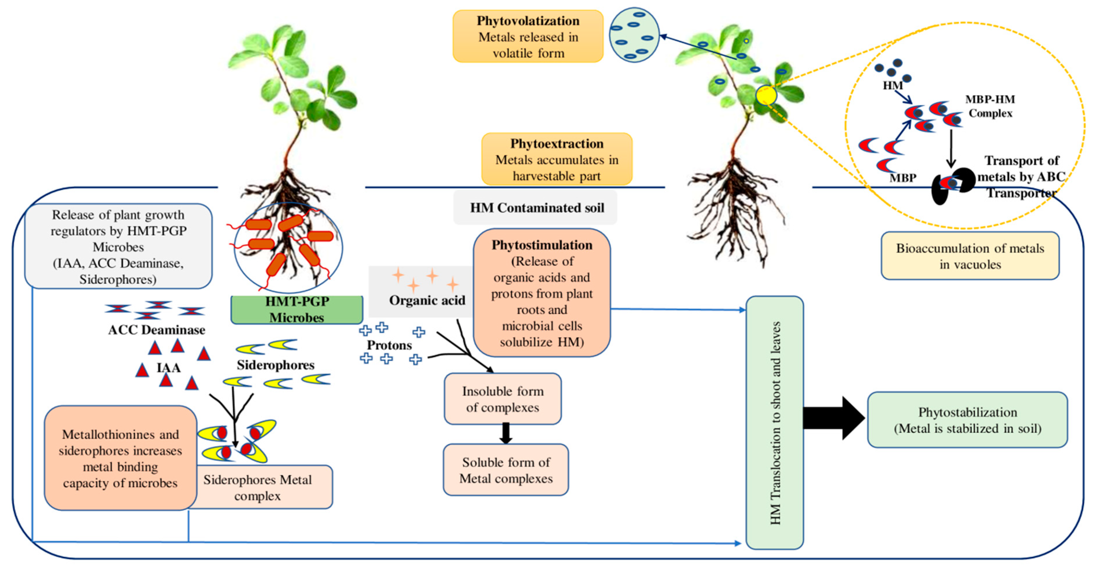 Jox 13 00019 g001 Jox 13 00019 g001