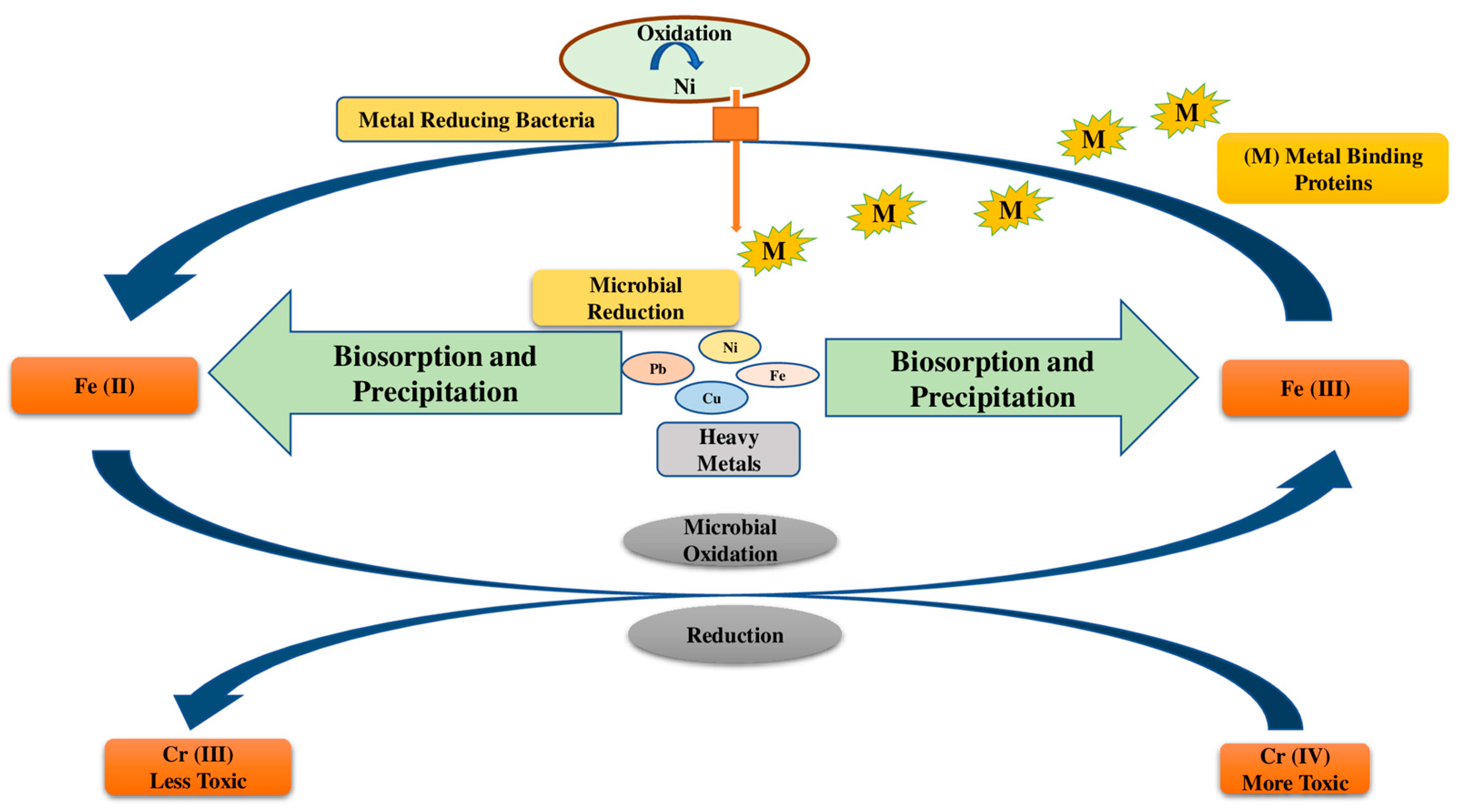 Jox 13 00019 g002 Jox 13 00019 g002