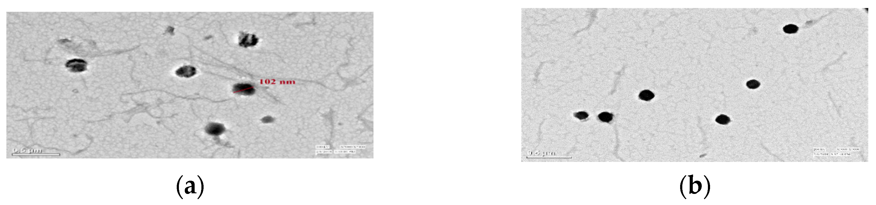 Jox 13 00020 g007 Jox 13 00020 g007