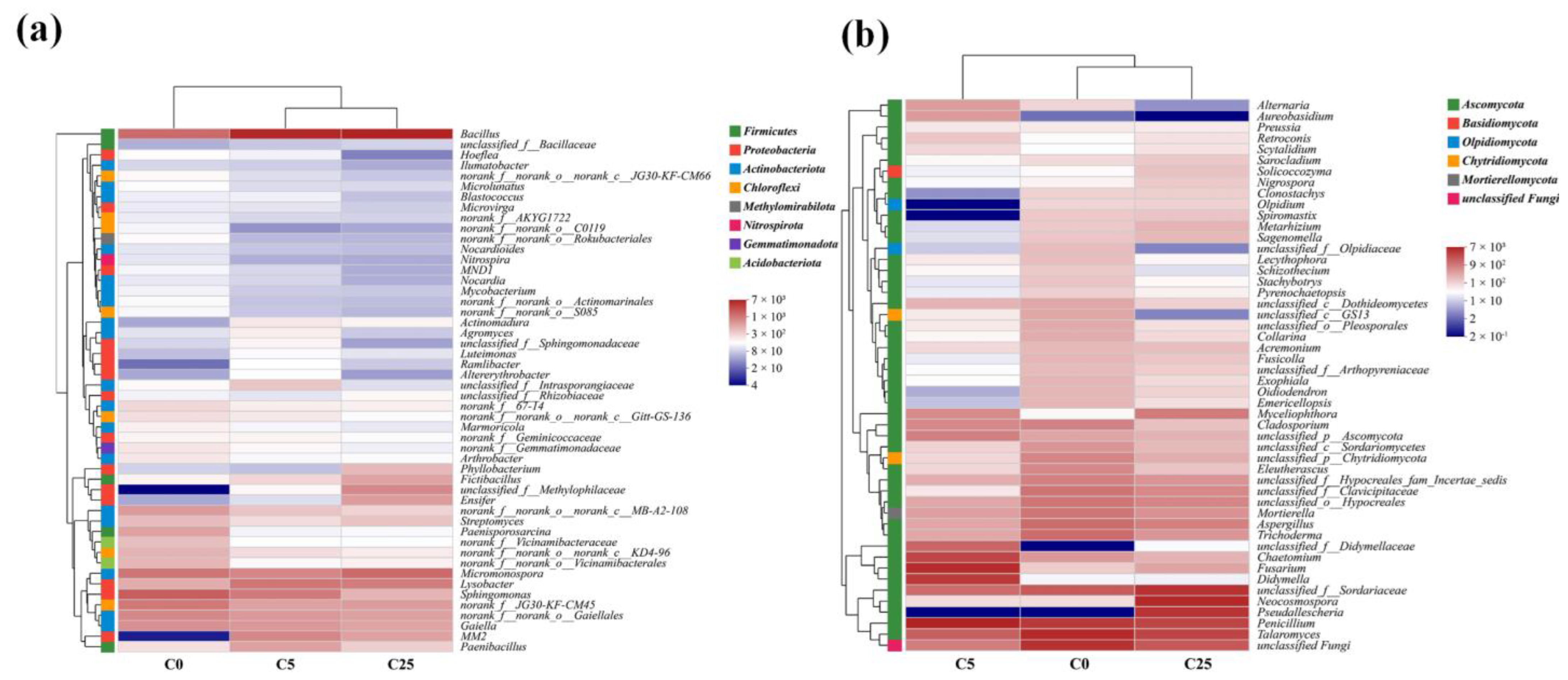 Jox 13 00027 g003 Jox 13 00027 g003