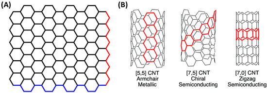 Carbon Nanotubes and Graphene Materials as Xenobiotics in