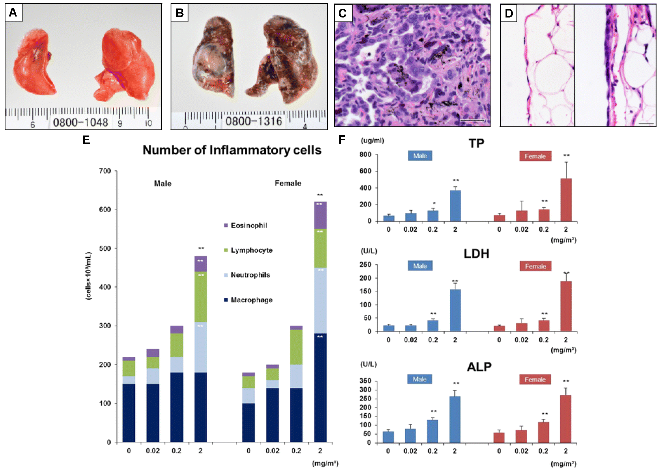 Jox 13 00047 g005 Jox 13 00047 g005