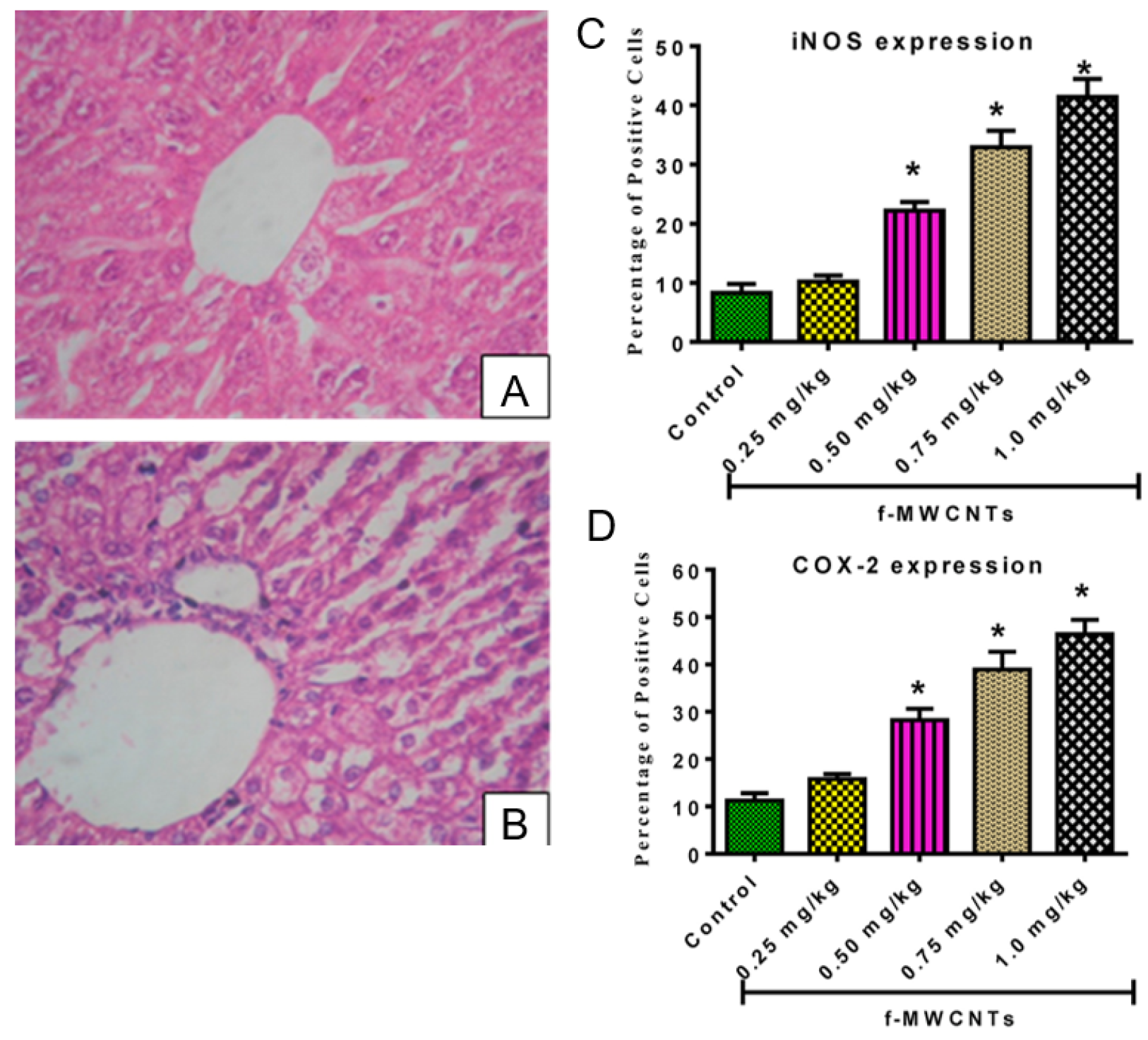 Jox 13 00047 g006 Jox 13 00047 g006