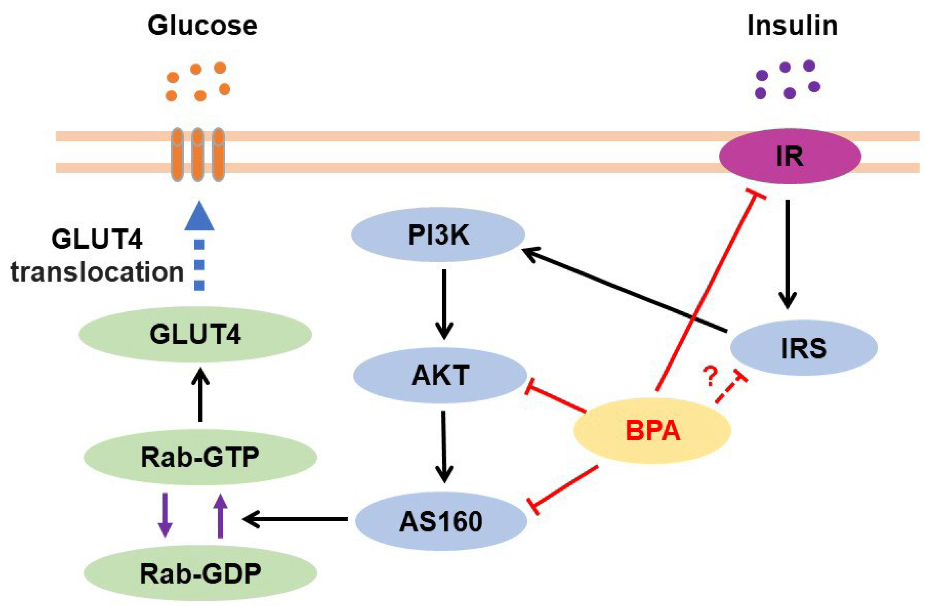 https://www.mdpi.com/jox/jox-13-00049/article_deploy/html/images/jox-13-00049-g001.png