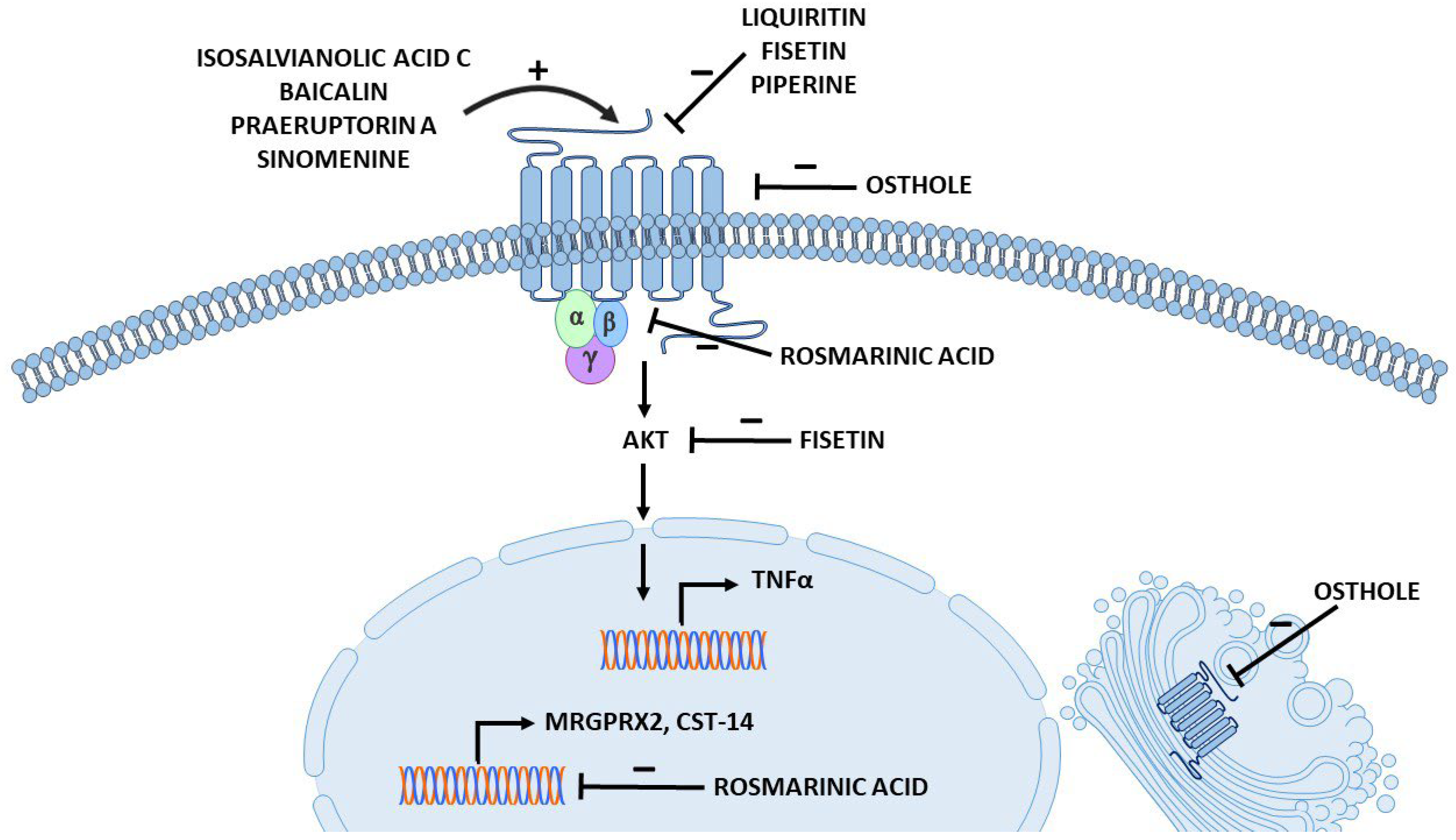 Jox 14 00024 g003 Jox 14 00024 g003