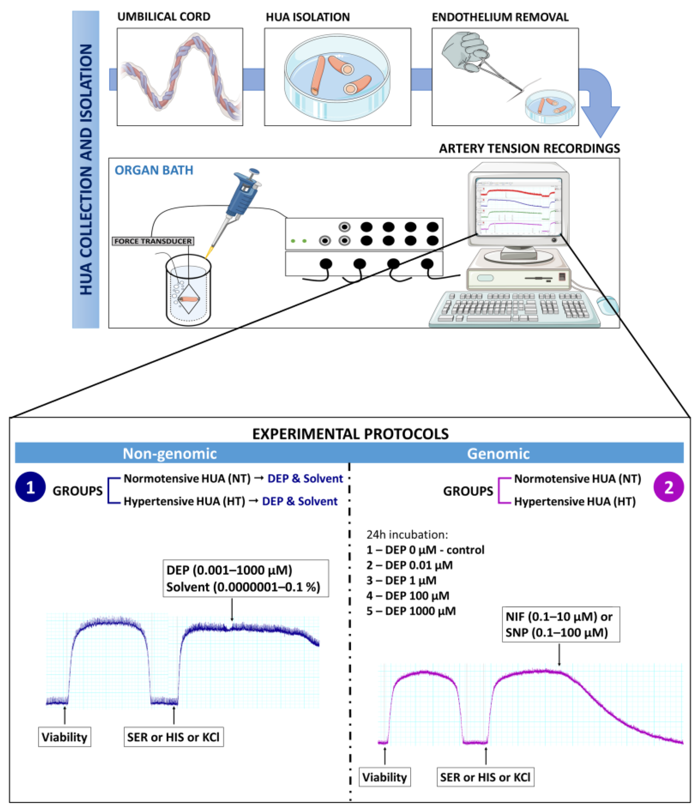 Jox 14 00030 g001 Jox 14 00030 g001