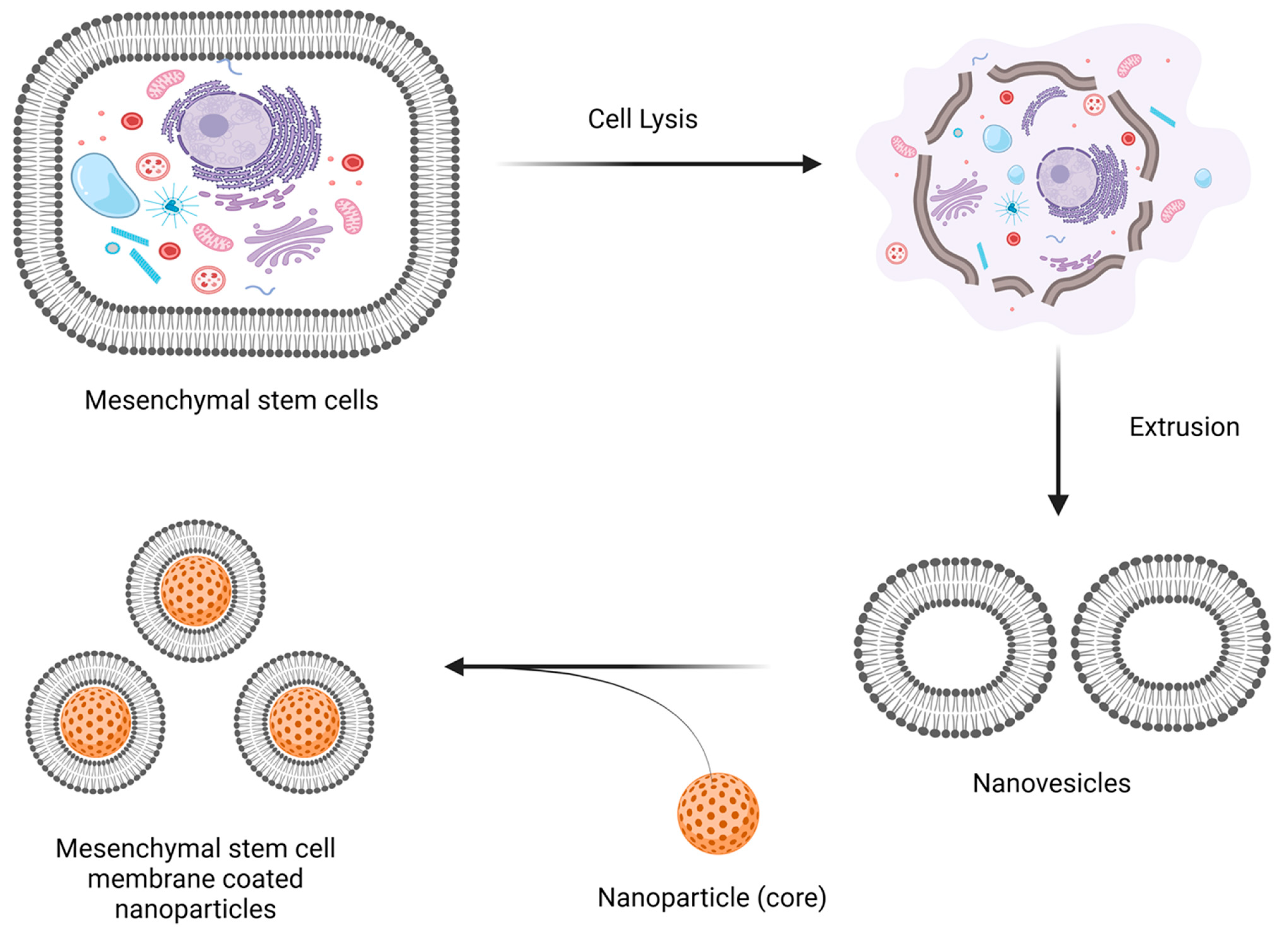 Precision Nanomedicine with Bio-Inspired Nanosystems: Recent 