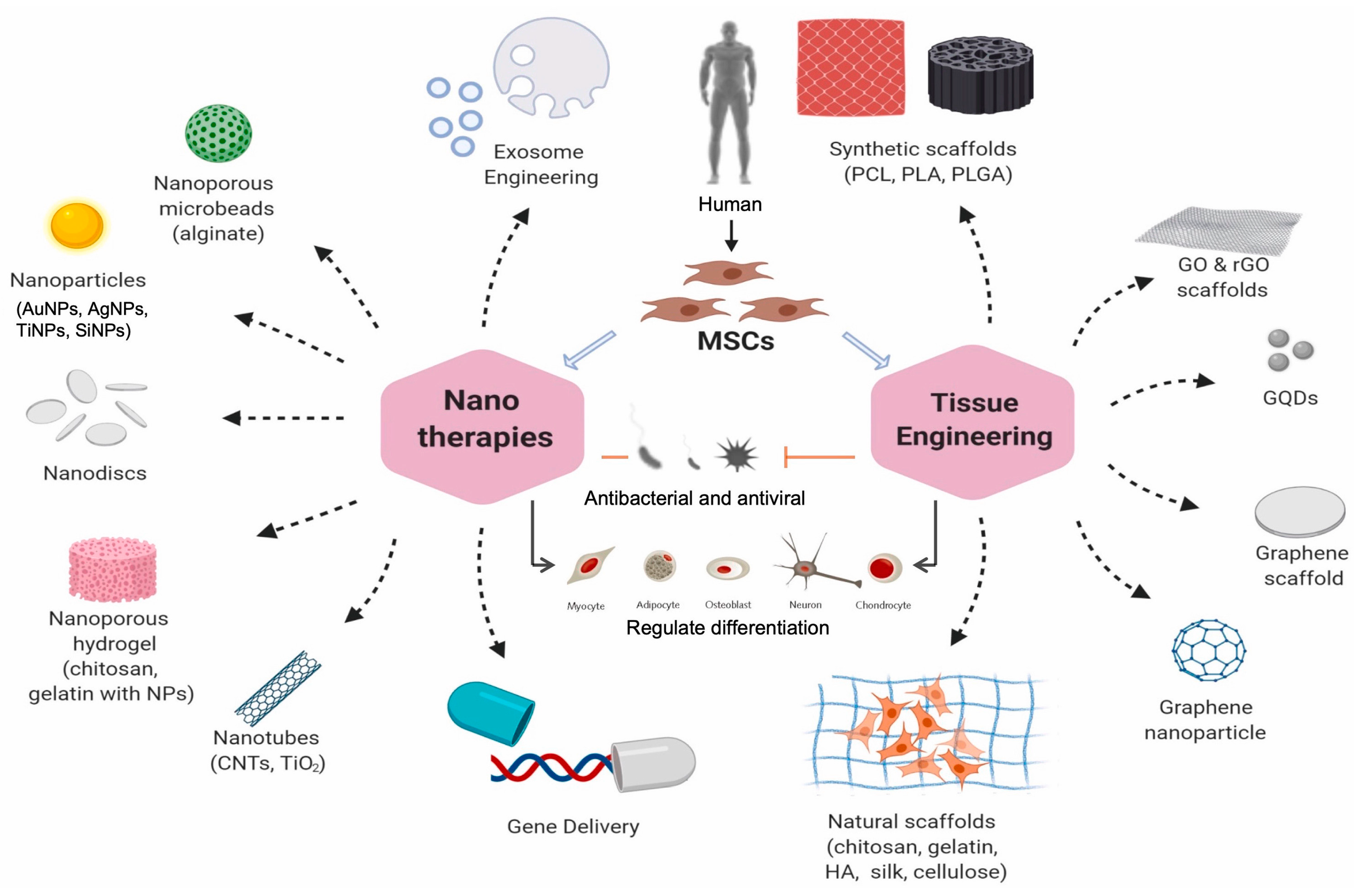 Jox 14 00047 g002 Jox 14 00047 g002