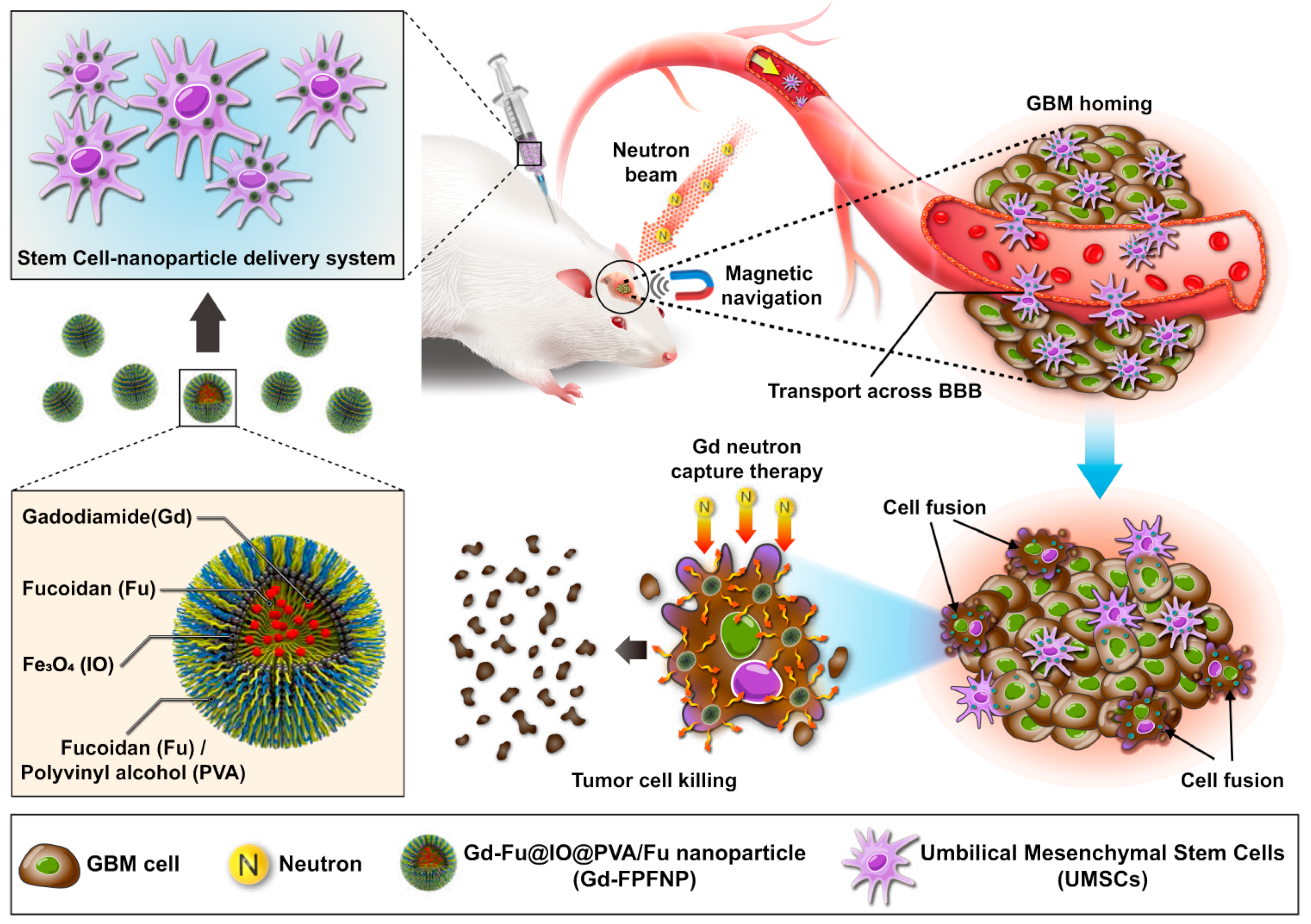 Jox 14 00047 g003 Jox 14 00047 g003