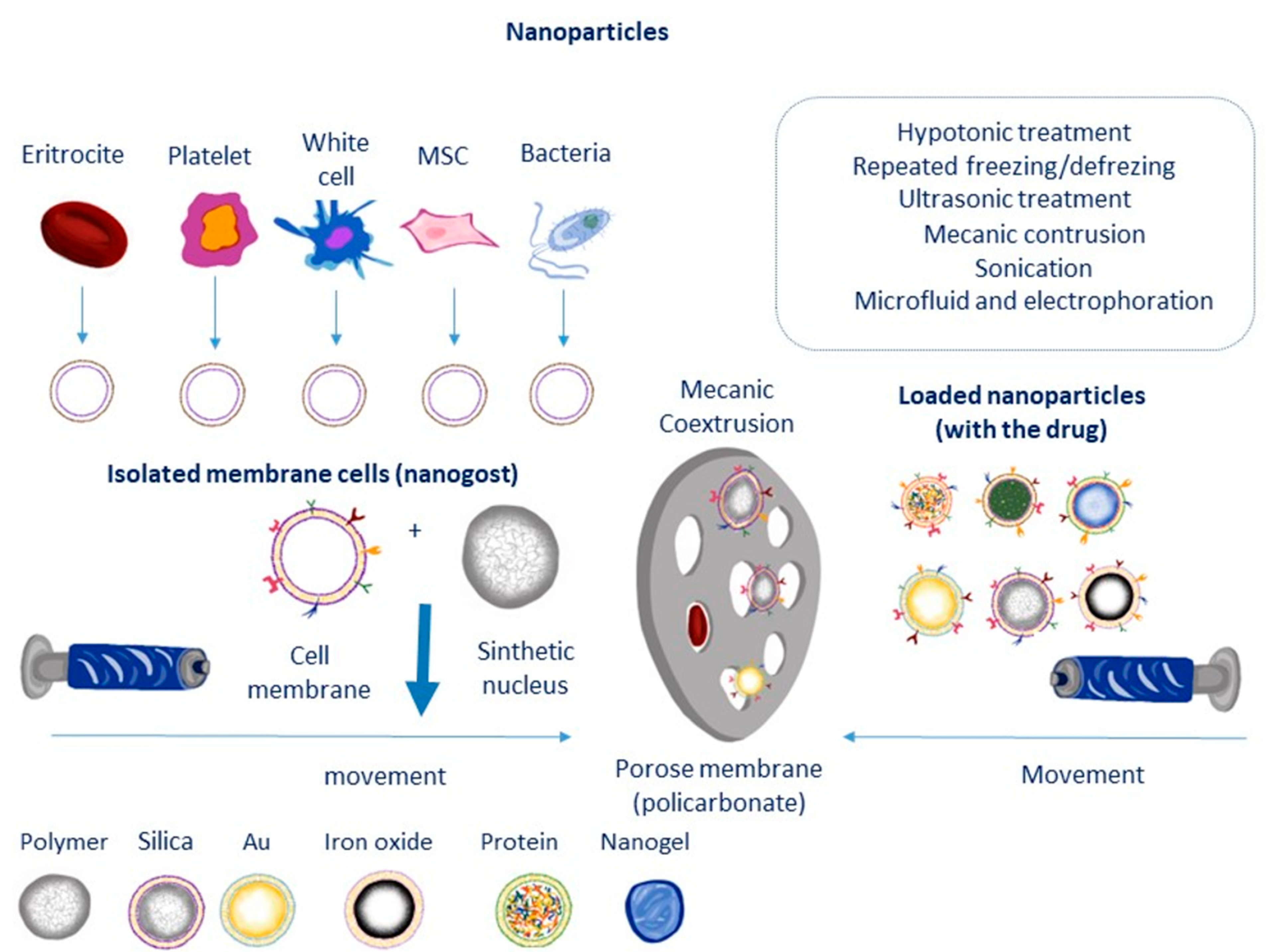 Jox 14 00047 g004 Jox 14 00047 g004