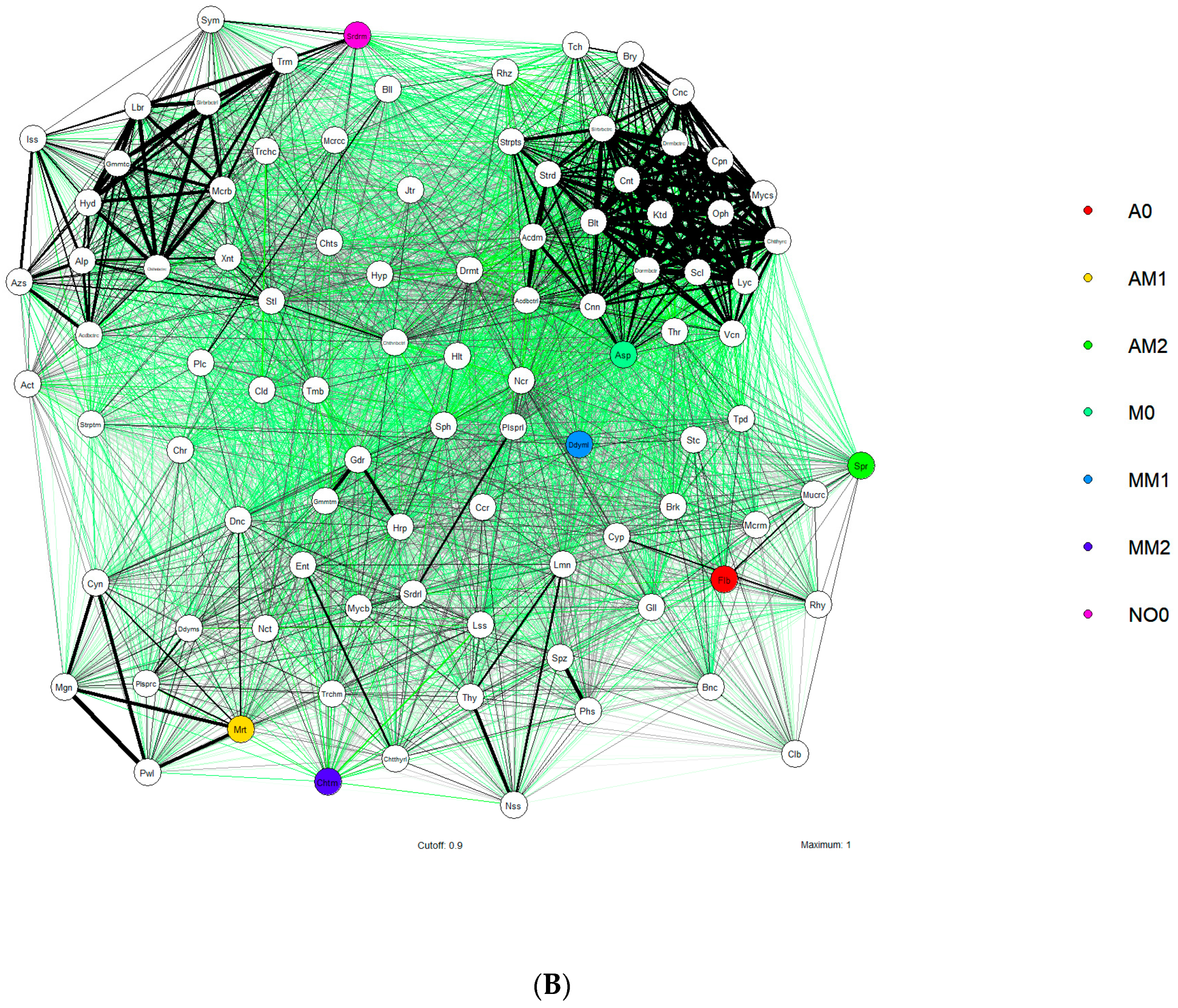 Jox 14 00054 g004b Jox 14 00054 g004b
