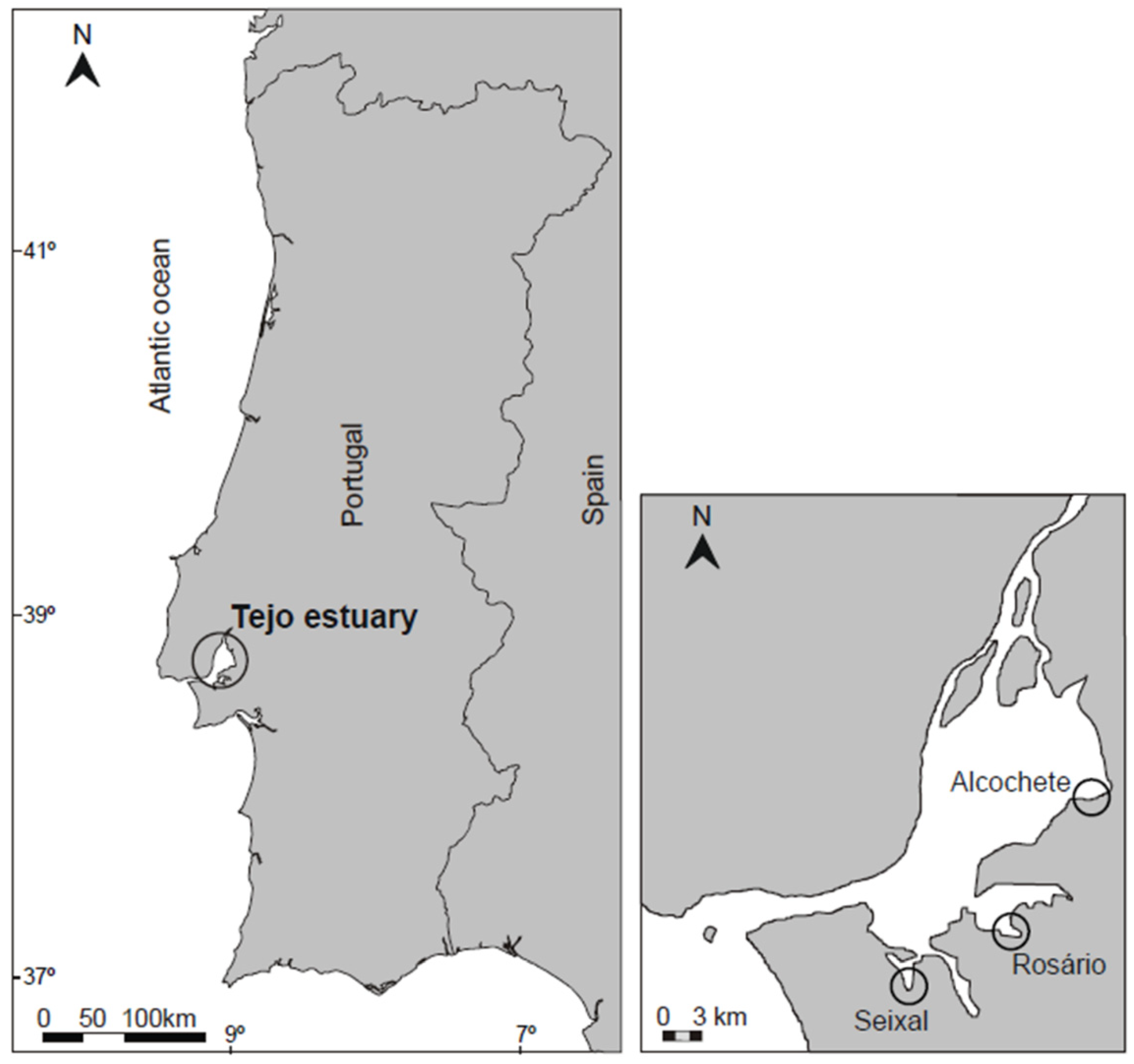 Jox 14 00066 g001 Jox 14 00066 g001