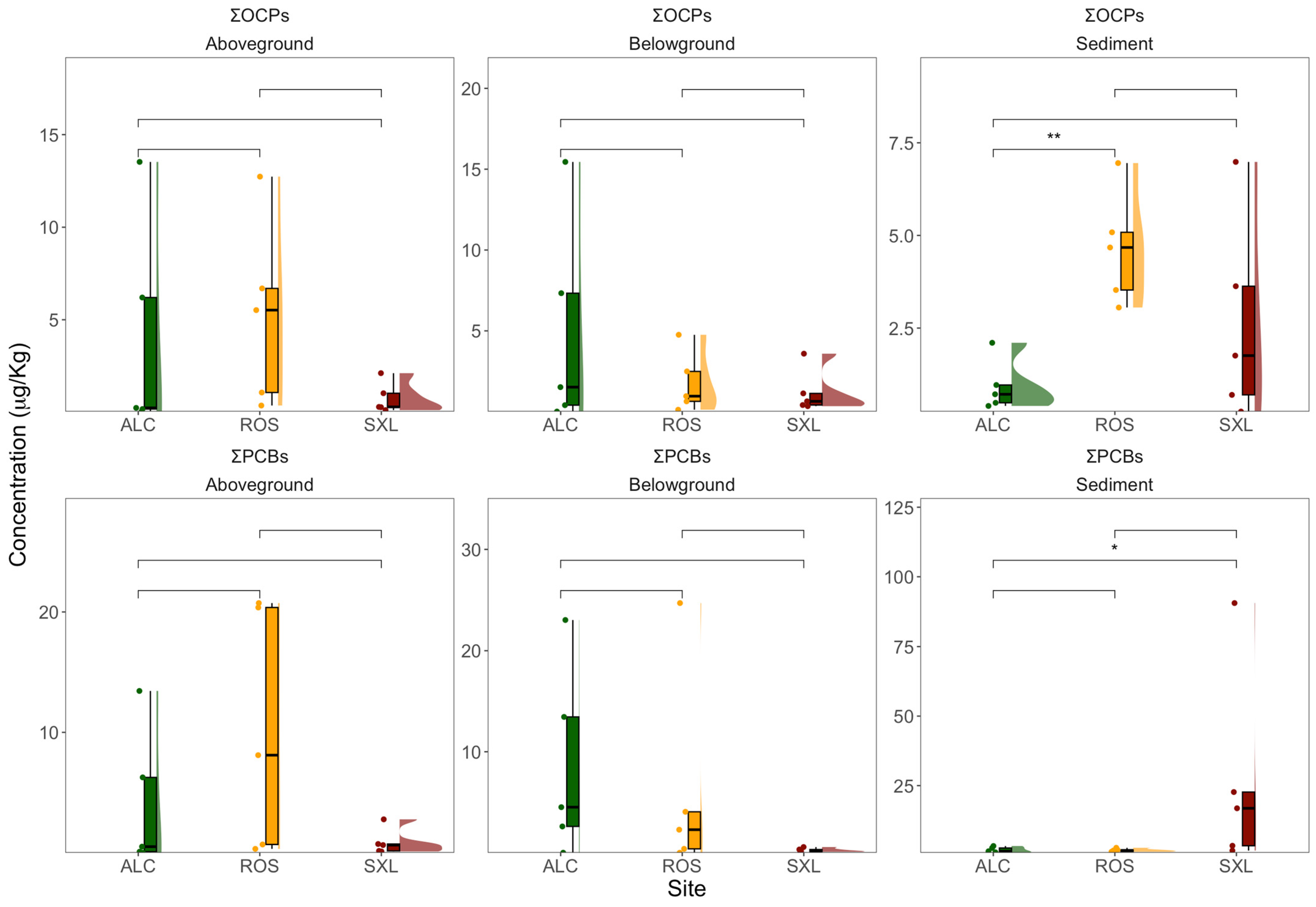Jox 14 00066 g005 Jox 14 00066 g005